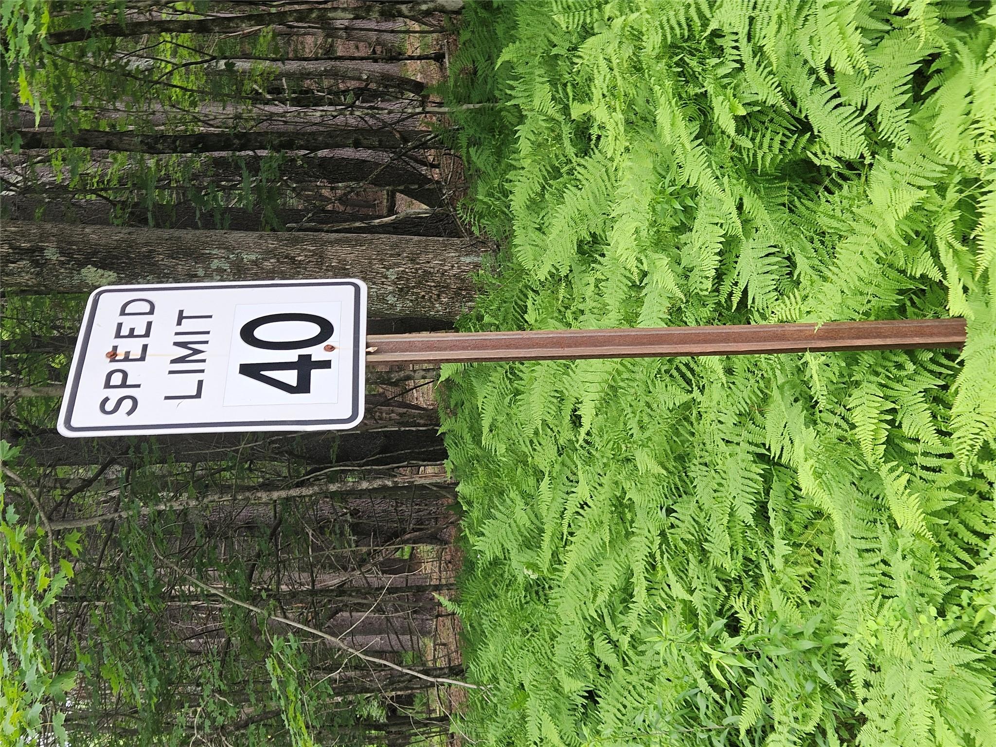 Hurd and Parks Road, Kauneonga Lake, NY