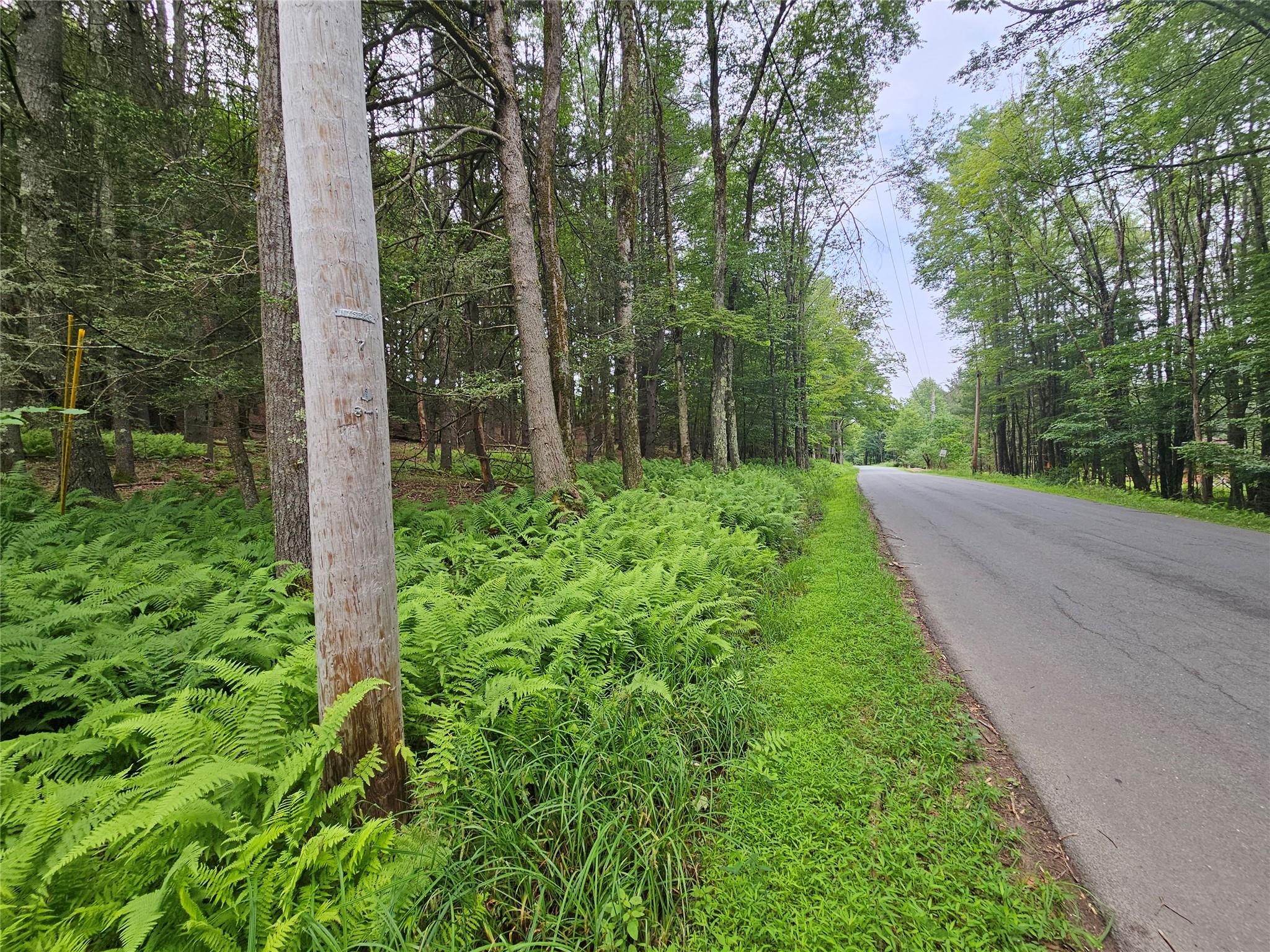 Hurd and Parks Road, Kauneonga Lake, NY