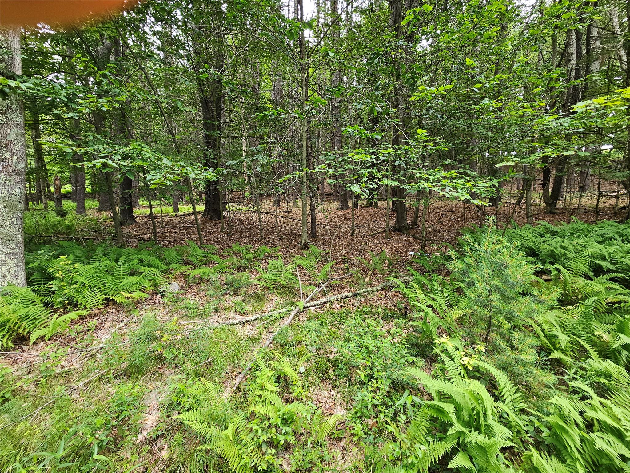 Hurd and Parks Road, Kauneonga Lake, NY