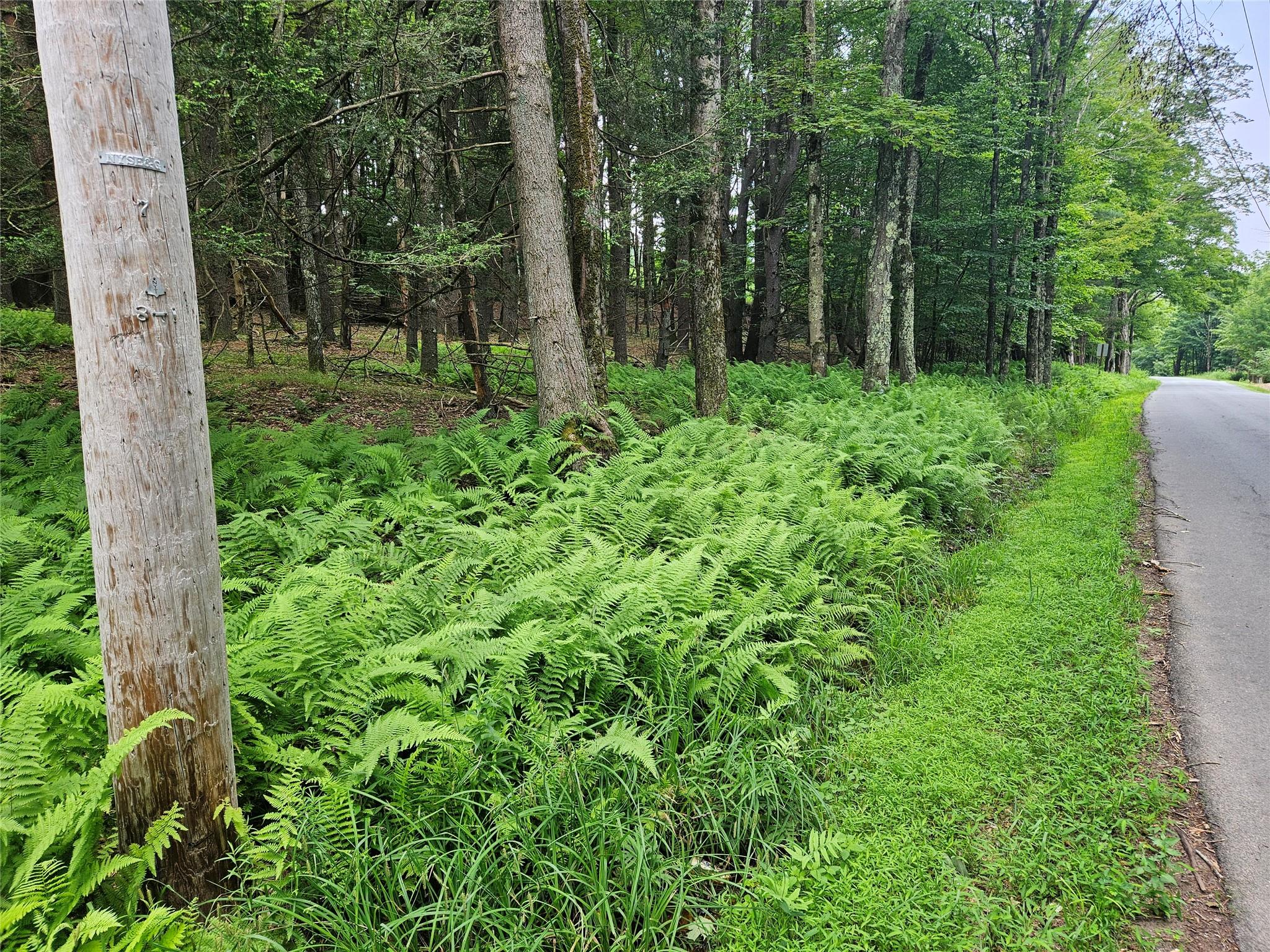Hurd and Parks Road, Kauneonga Lake, NY