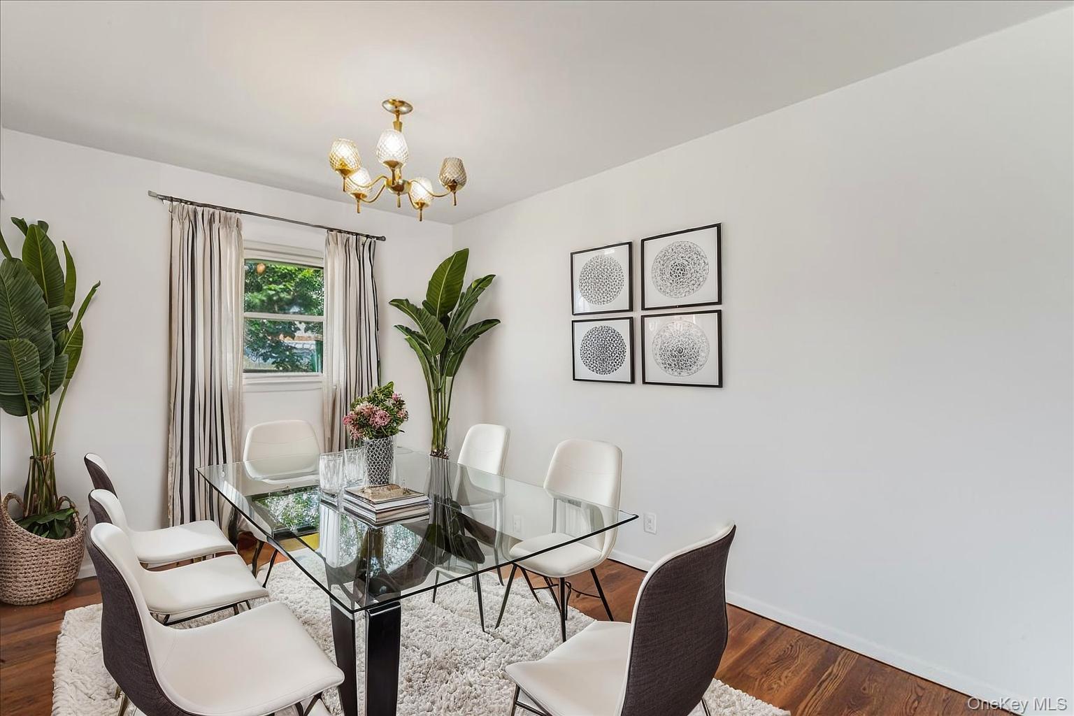 19 Dakota Street, Hicksville, NY 11801