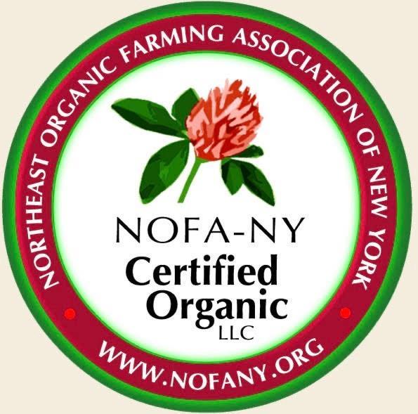 1117 Cross River Drive, Riverhead, NY 11901