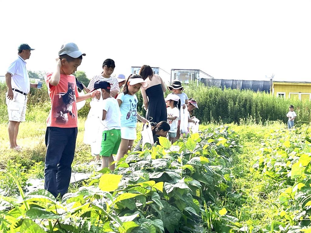 1117 Cross River Drive, Riverhead, NY 11901