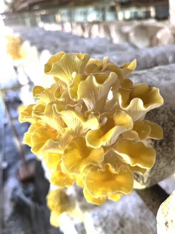 1117 Cross River Drive, Riverhead, NY 11901