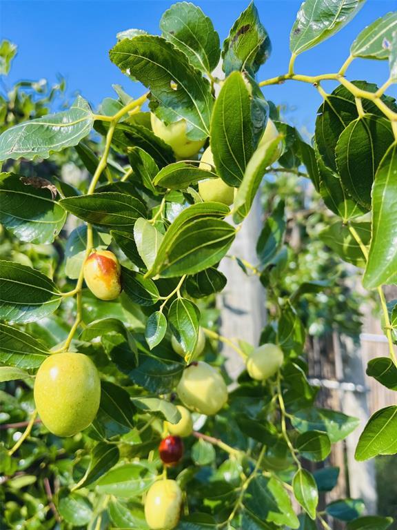 1117 Cross River Drive, Riverhead, NY 11901