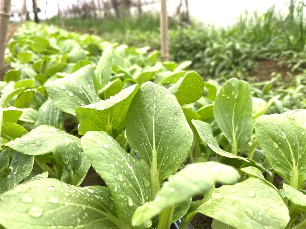 1117 Cross River Drive, Riverhead, NY 11901