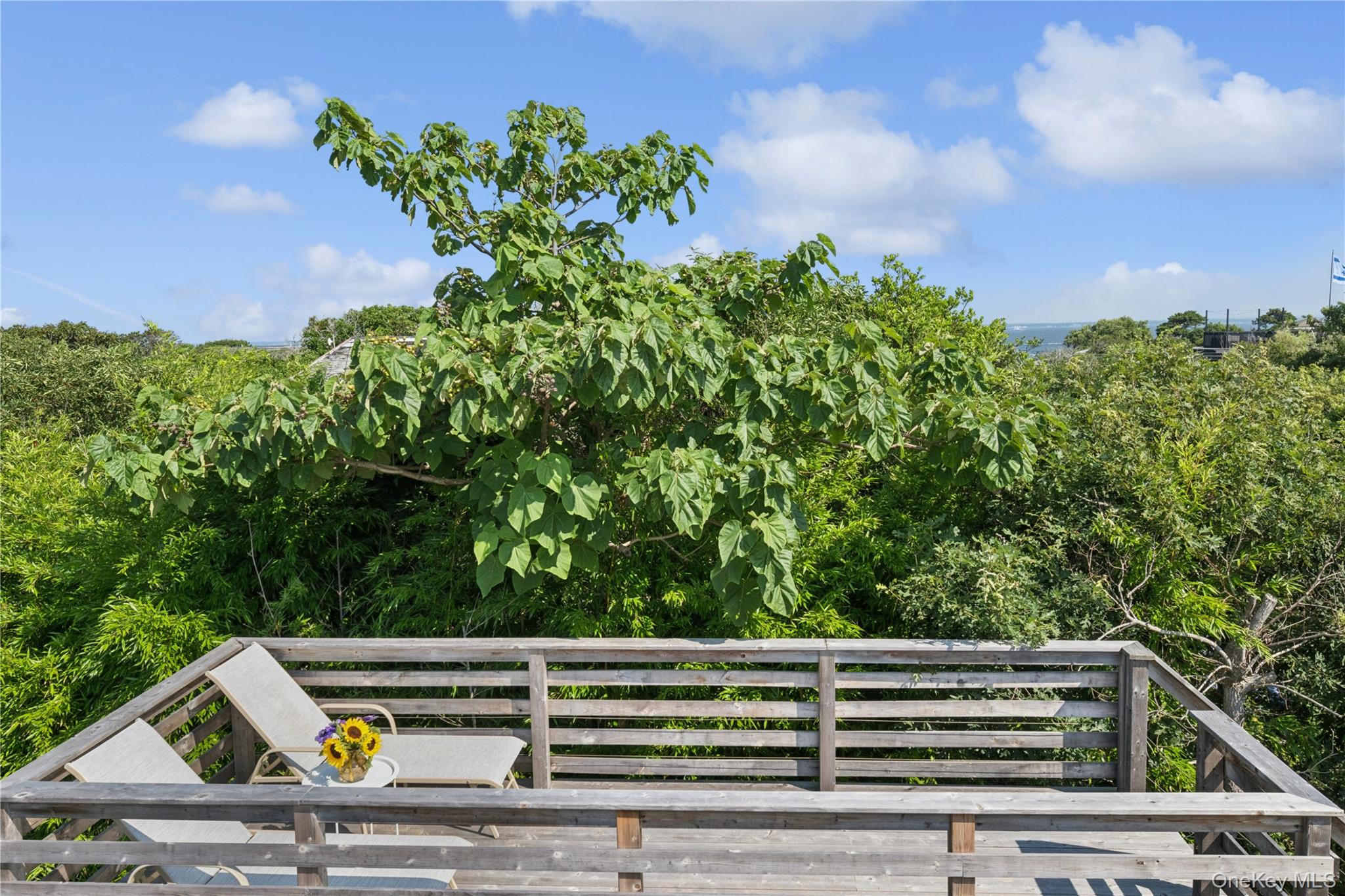 317 Sky Walk, Fire Island Pines, NY 11782