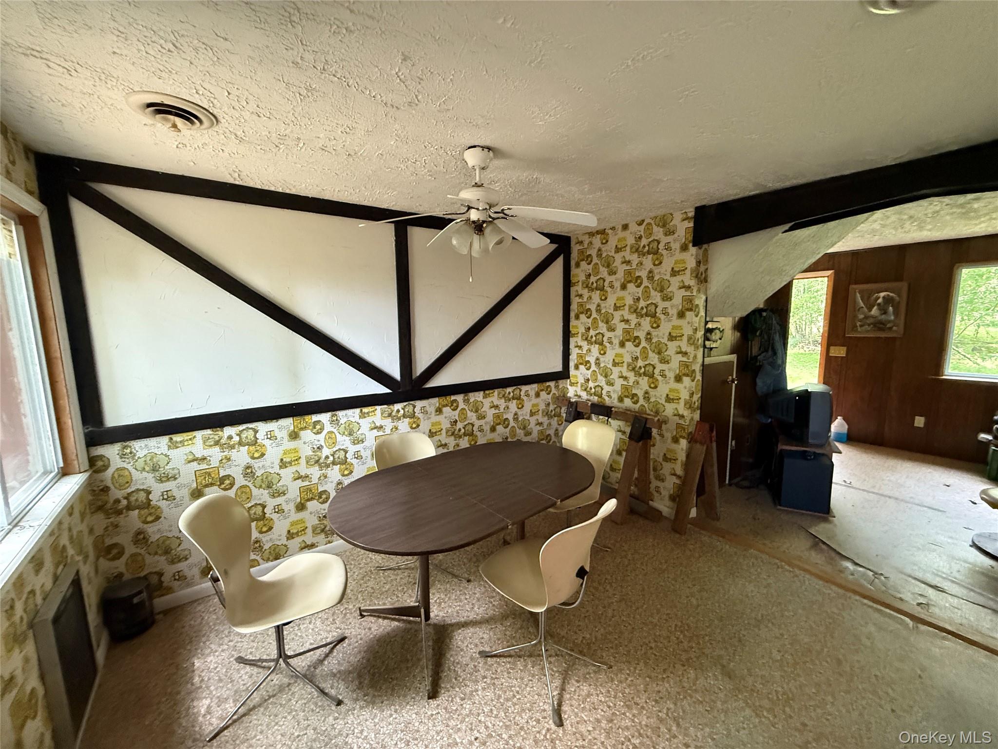 9 Lake Drive, Parksville, NY 12768