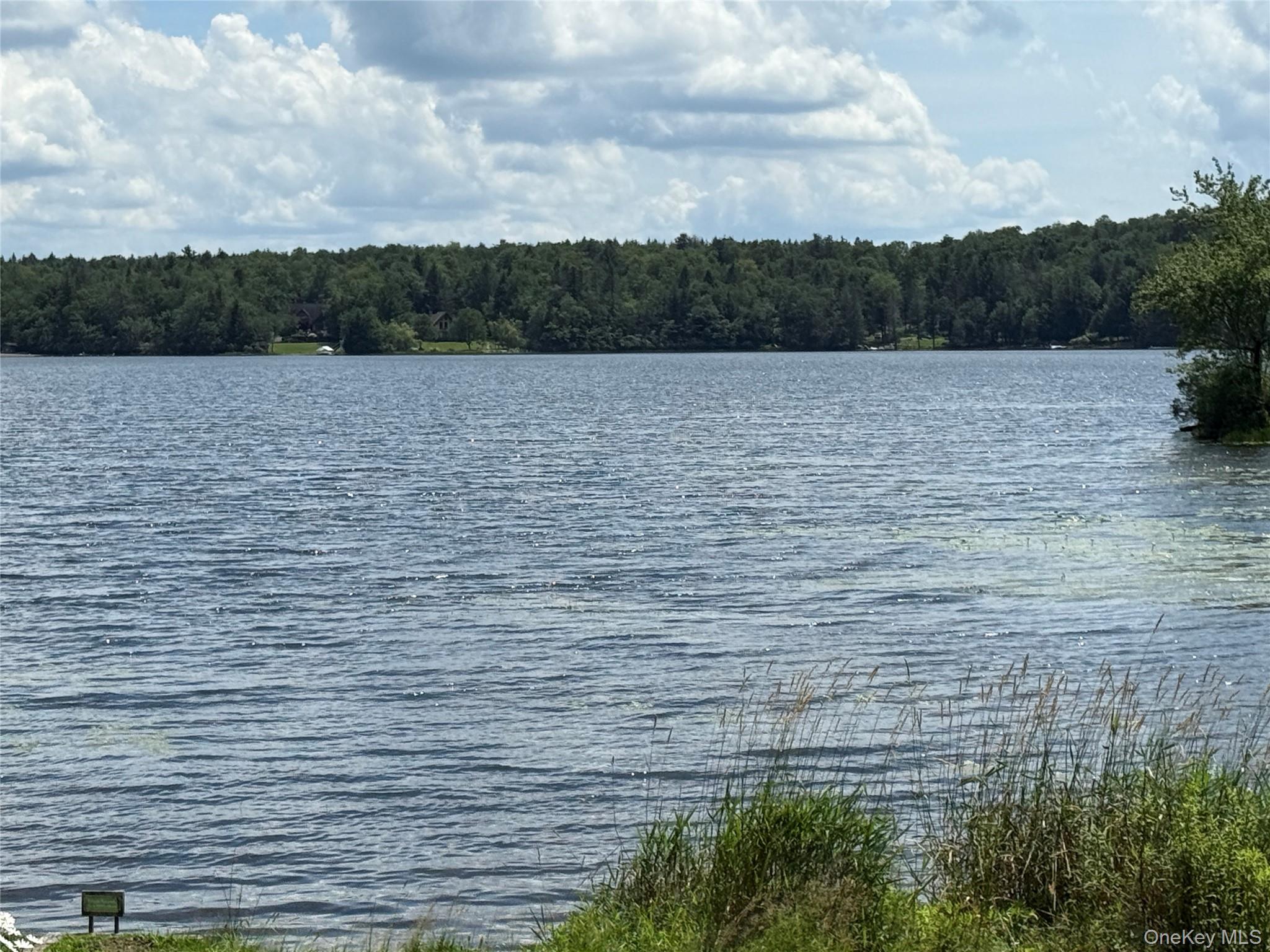 9 Lake Drive, Parksville, NY 12768