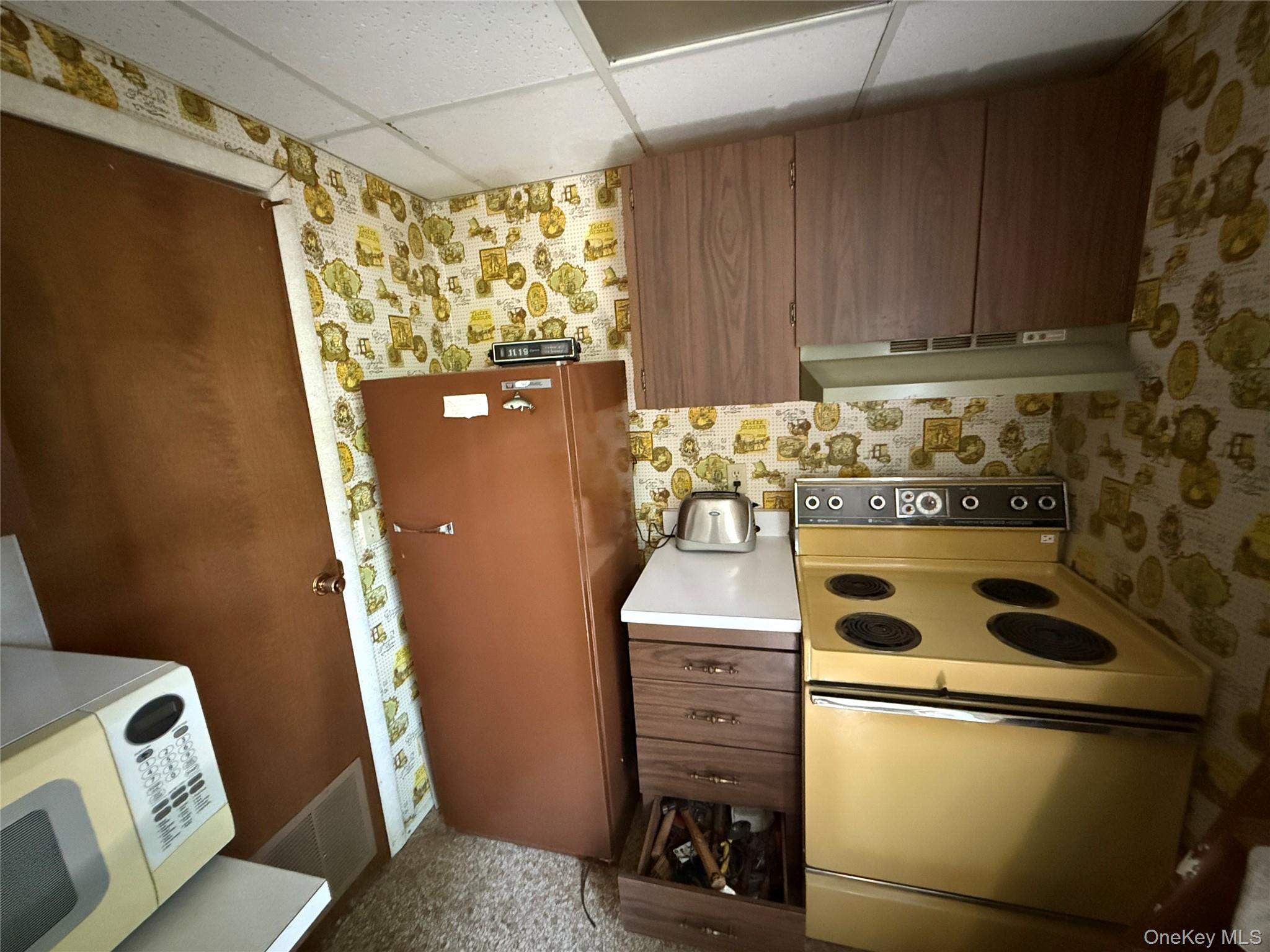 9 Lake Drive, Parksville, NY 12768