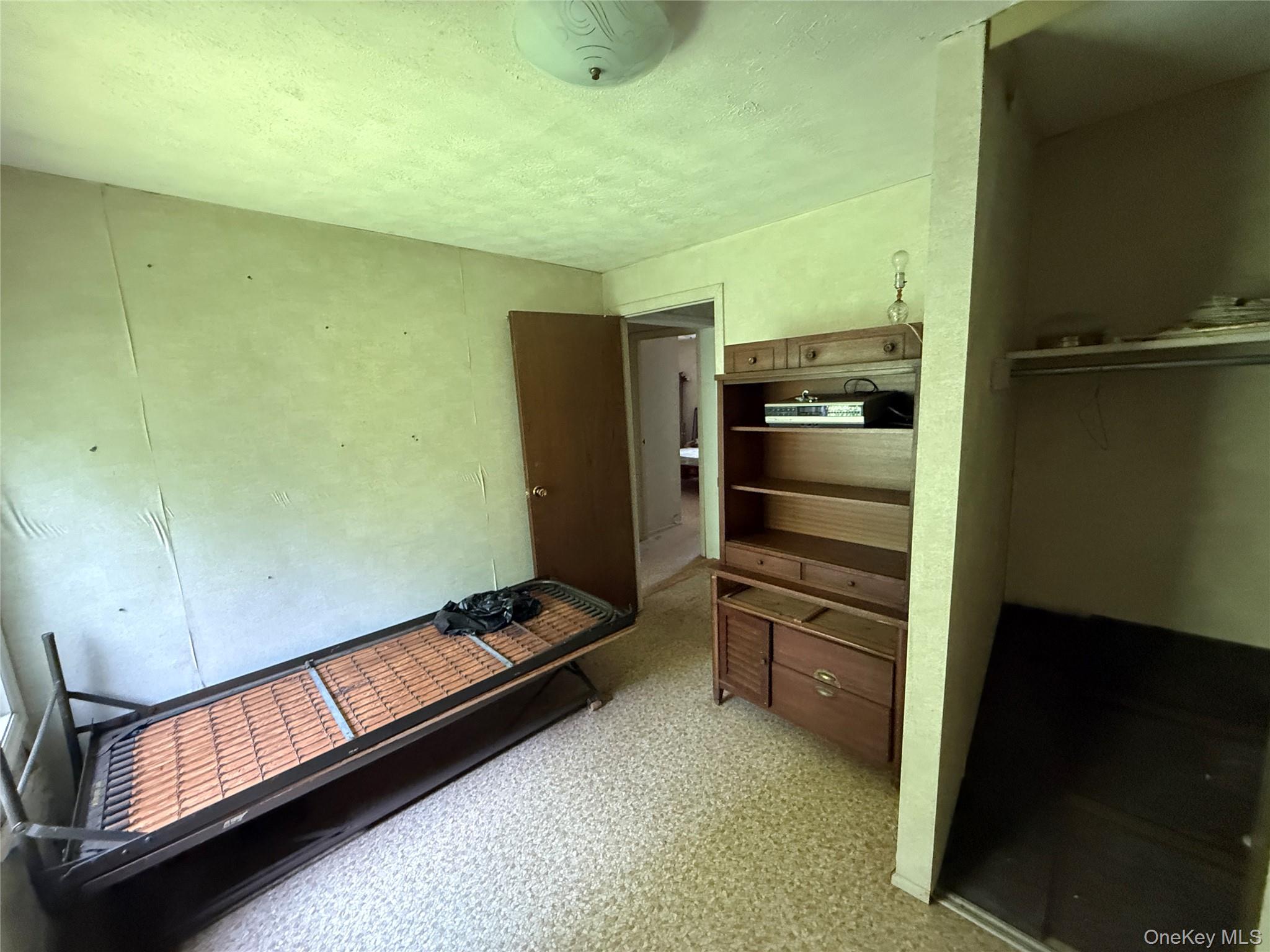 9 Lake Drive, Parksville, NY 12768