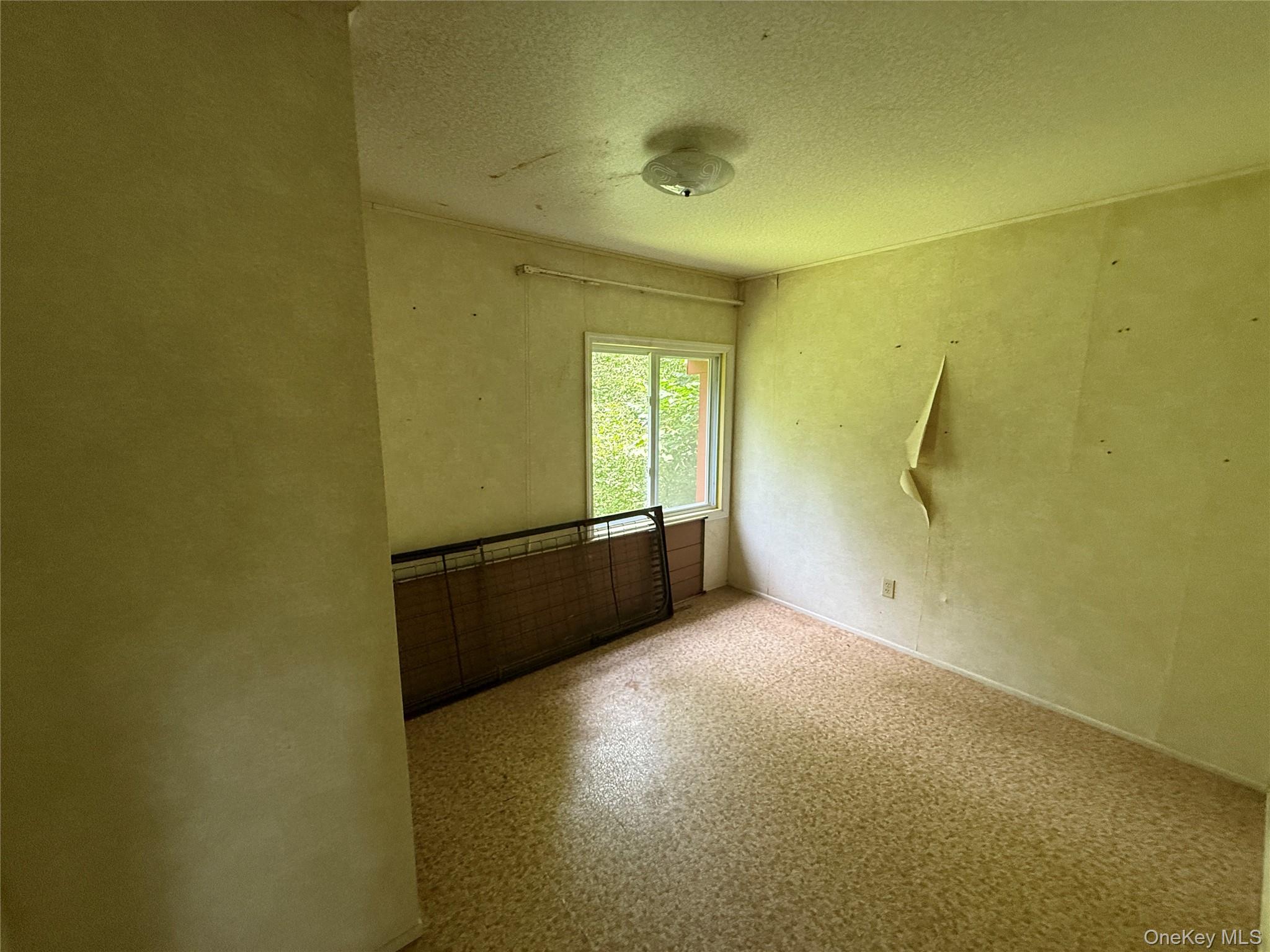 9 Lake Drive, Parksville, NY 12768