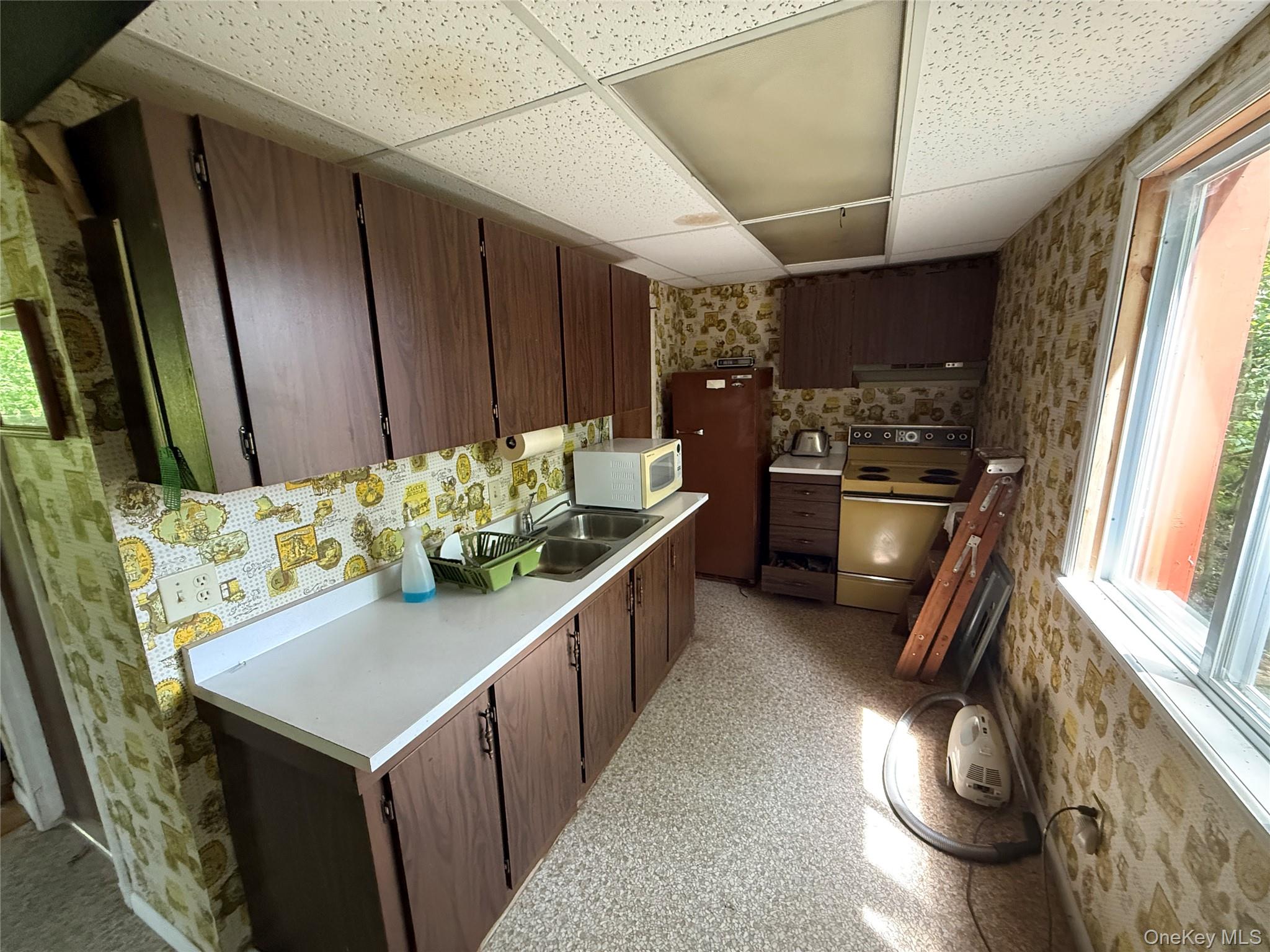 9 Lake Drive, Parksville, NY 12768