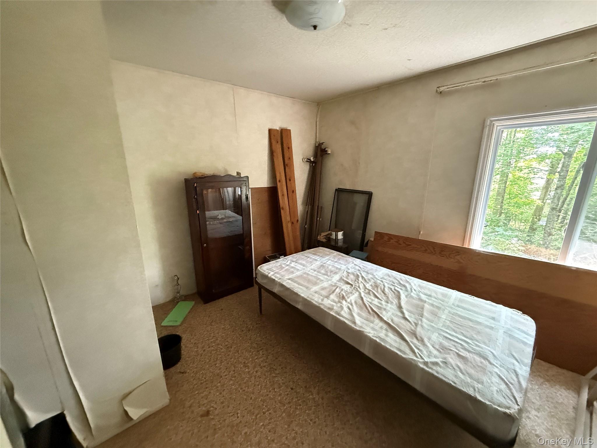 9 Lake Drive, Parksville, NY 12768