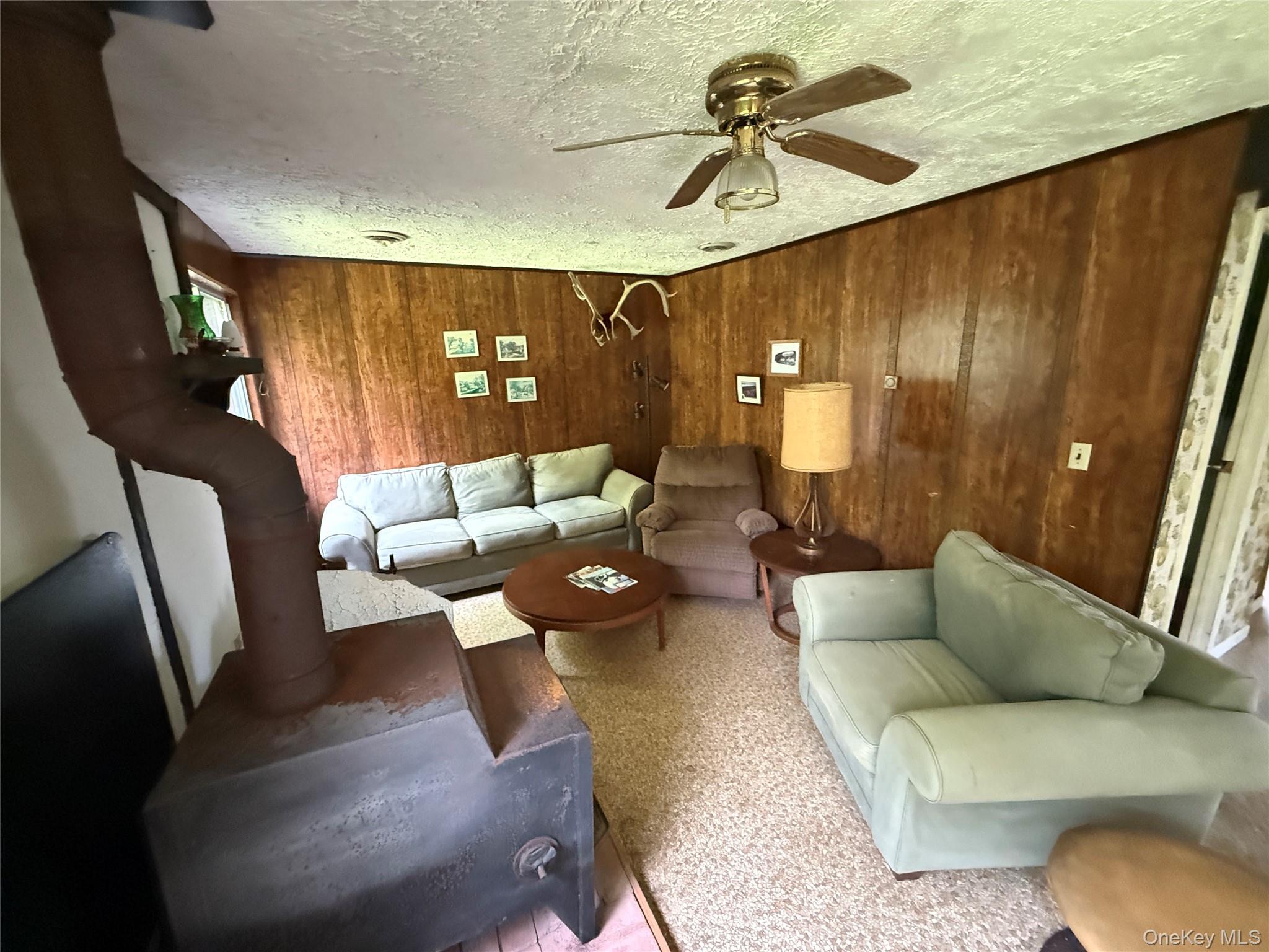 9 Lake Drive, Parksville, NY 12768