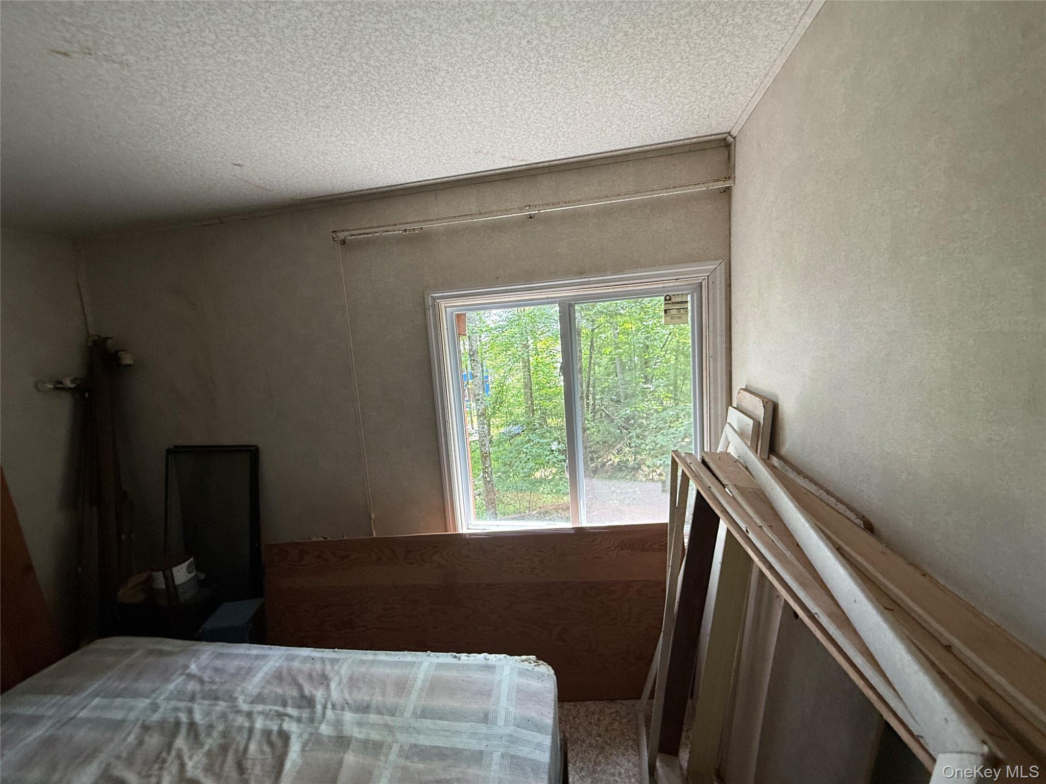 9 Lake Drive, Parksville, NY 12768