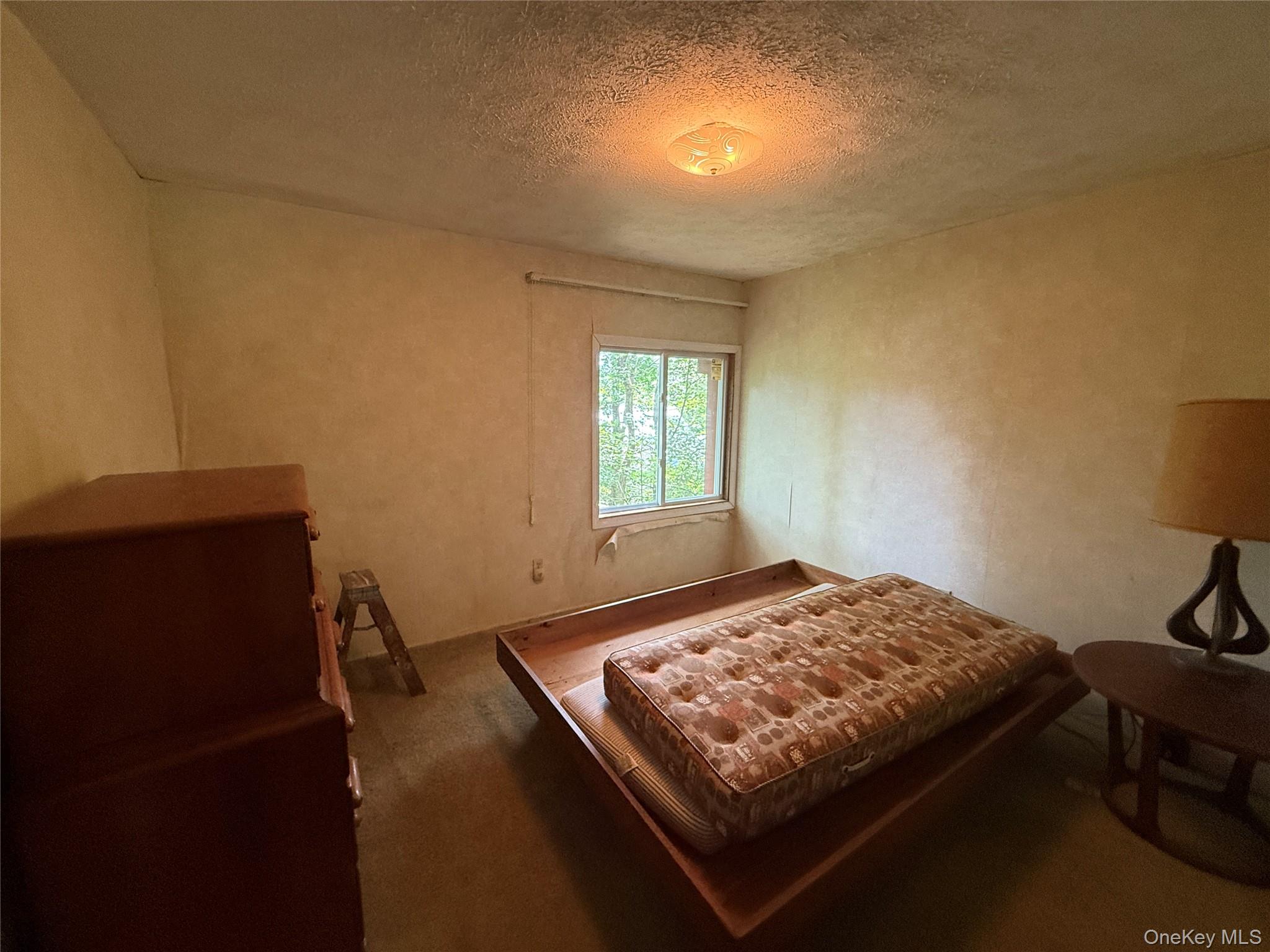 9 Lake Drive, Parksville, NY 12768