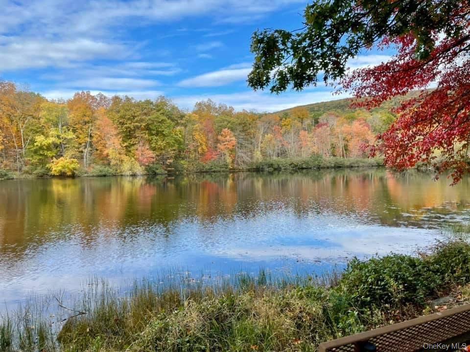 13 Butternut Court, Highland Mills, NY 10930