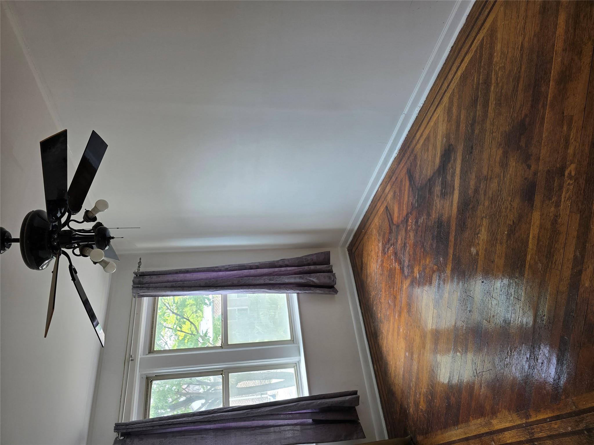 1202 E 38th Street, Brooklyn, NY 11210