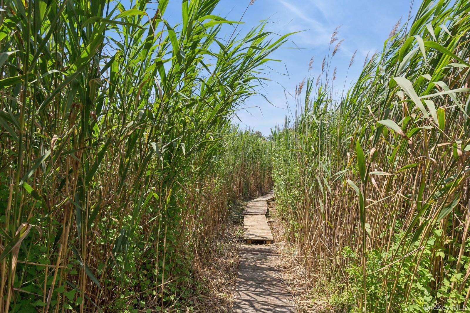 66 Lynbrook Drive, Mastic Beach, NY 11951