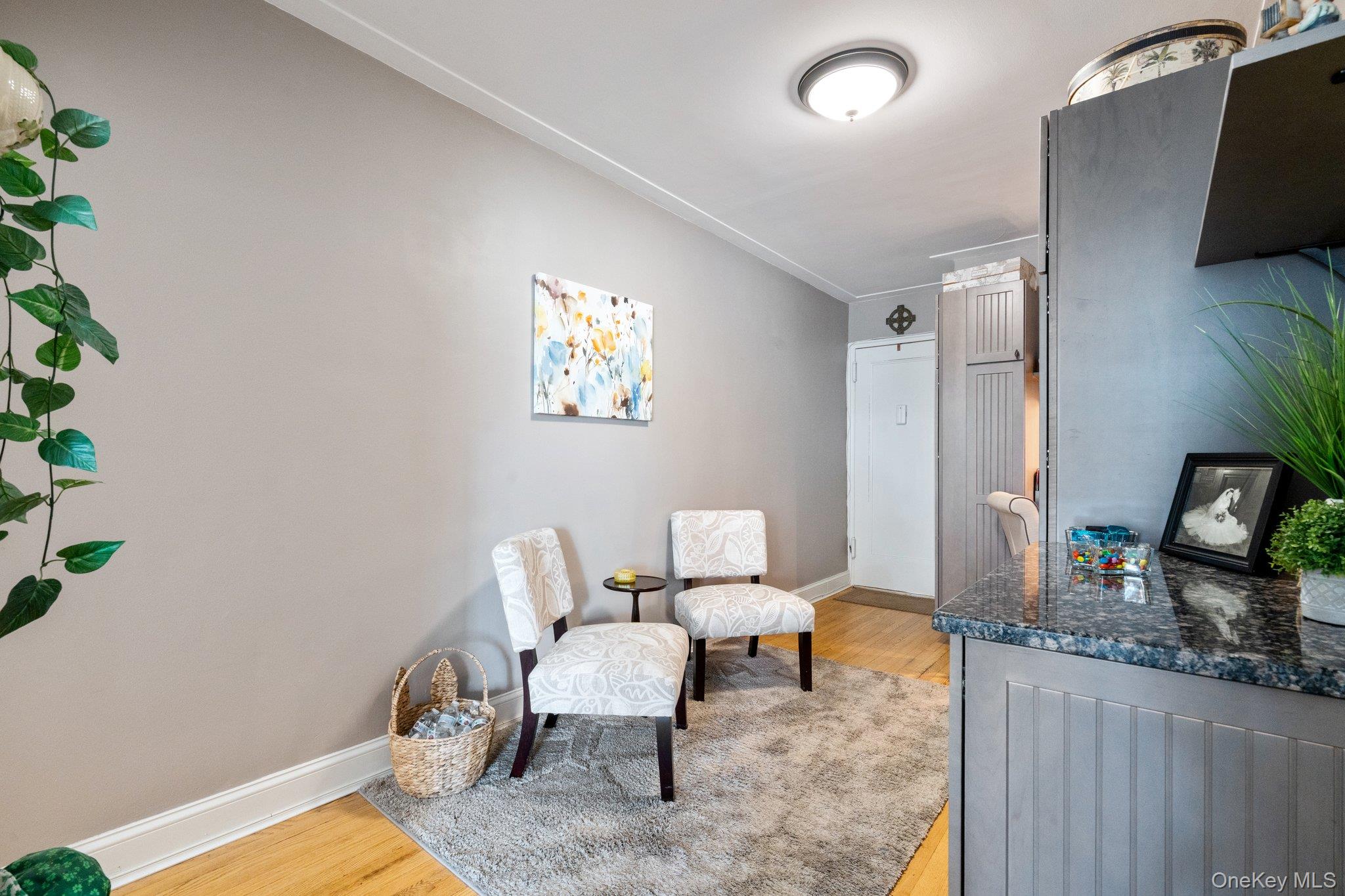 102 S Village Avenue # 2B, Rockville Centre, NY 11570