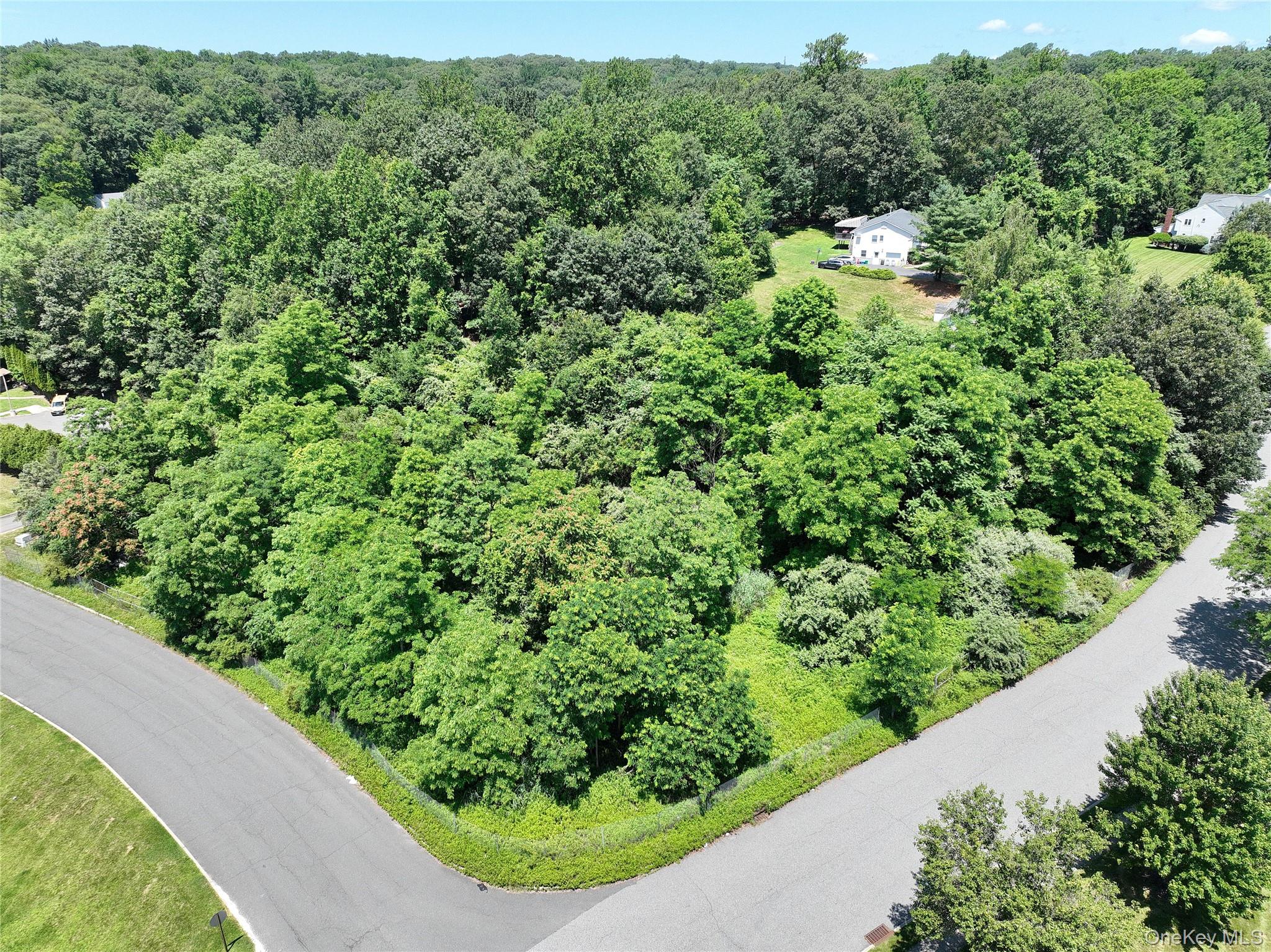 10 Fosse Court, Airmont, NY 10952