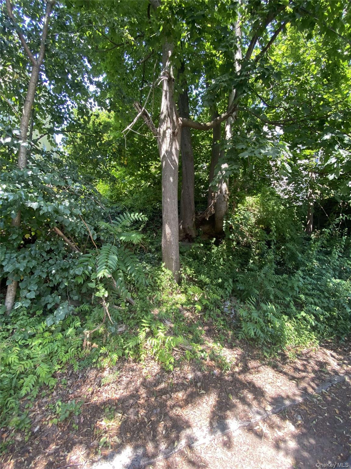 422 Nuber Avenue, Mount Vernon, NY 10553