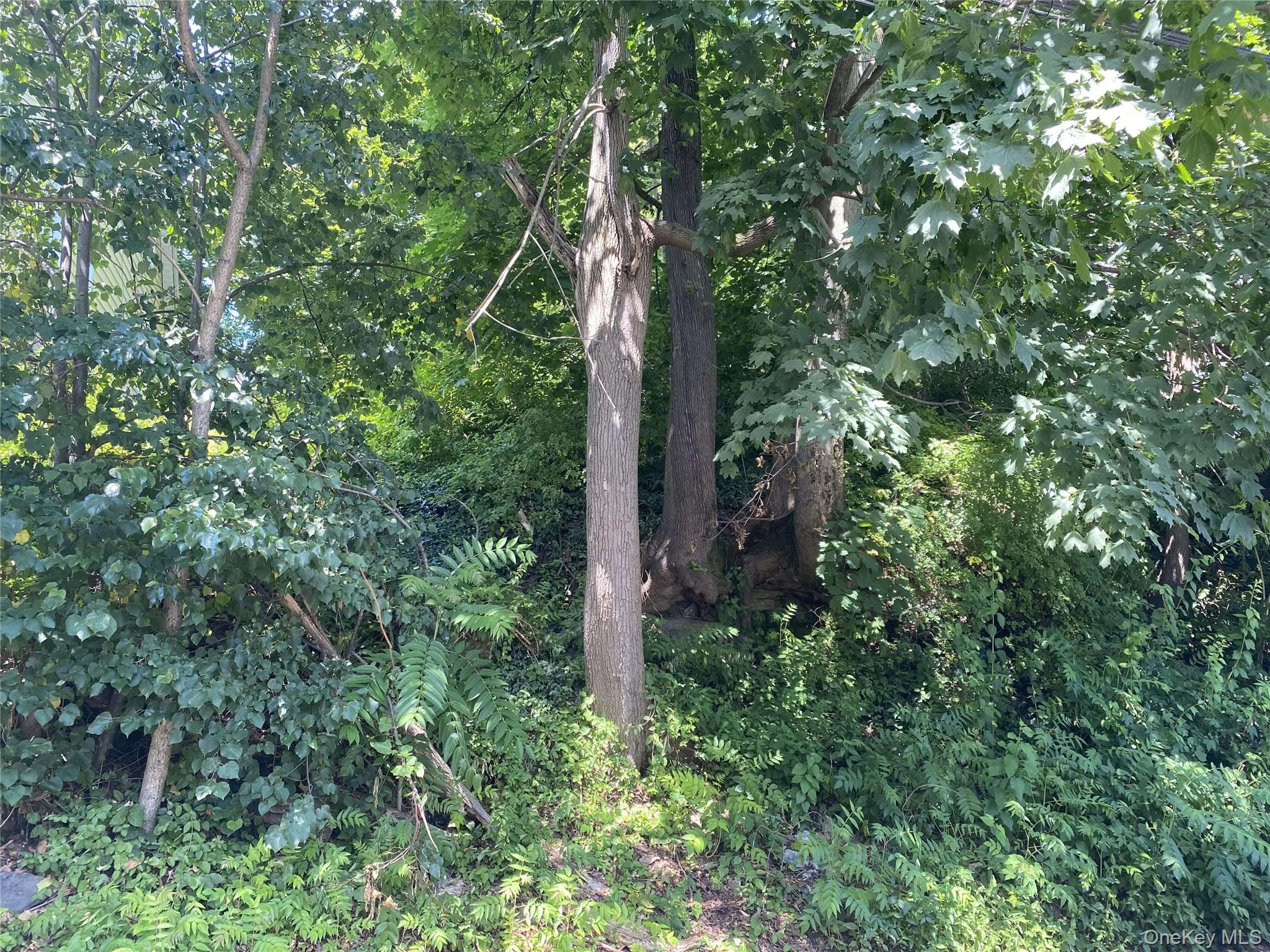 422 Nuber Avenue, Mount Vernon, NY 10553