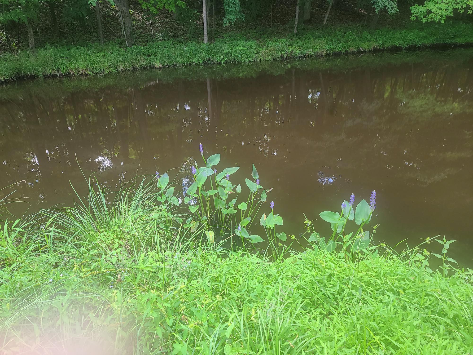 49 Old Farm Road, Rhinebeck, NY 12572