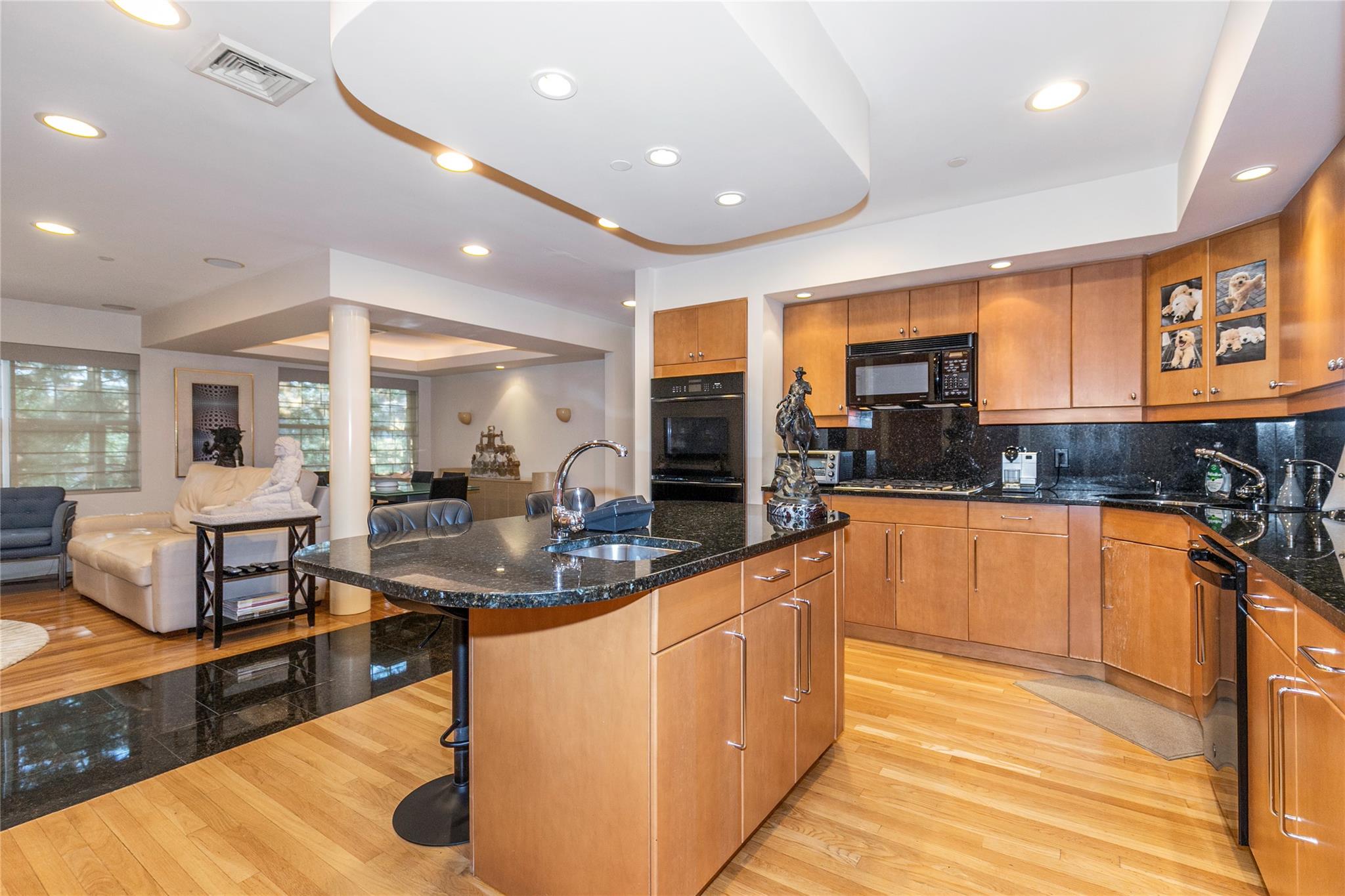 1 Portico Court # 200, Great Neck, NY 11021