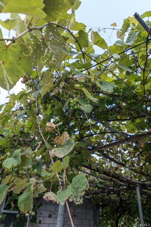 139 Haddock Road, Monticello, NY 12701