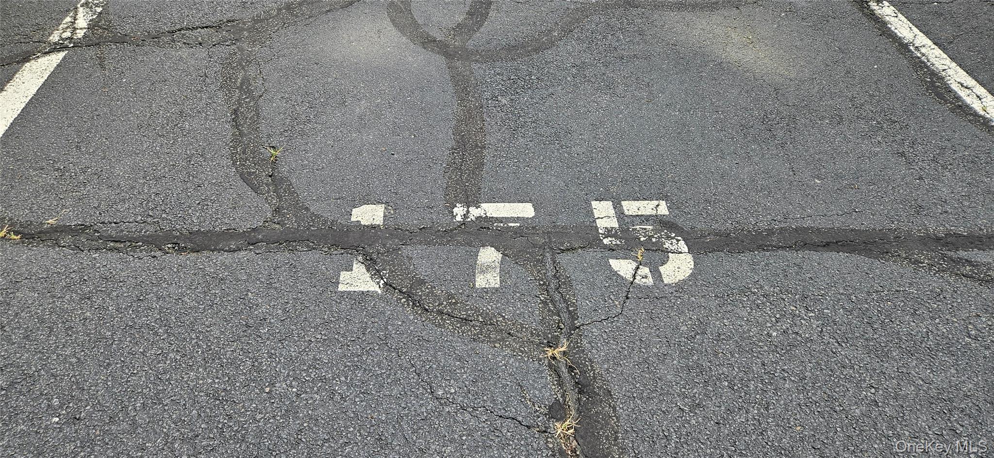 12 Omni Parc Drive, Nanuet, NY 10954