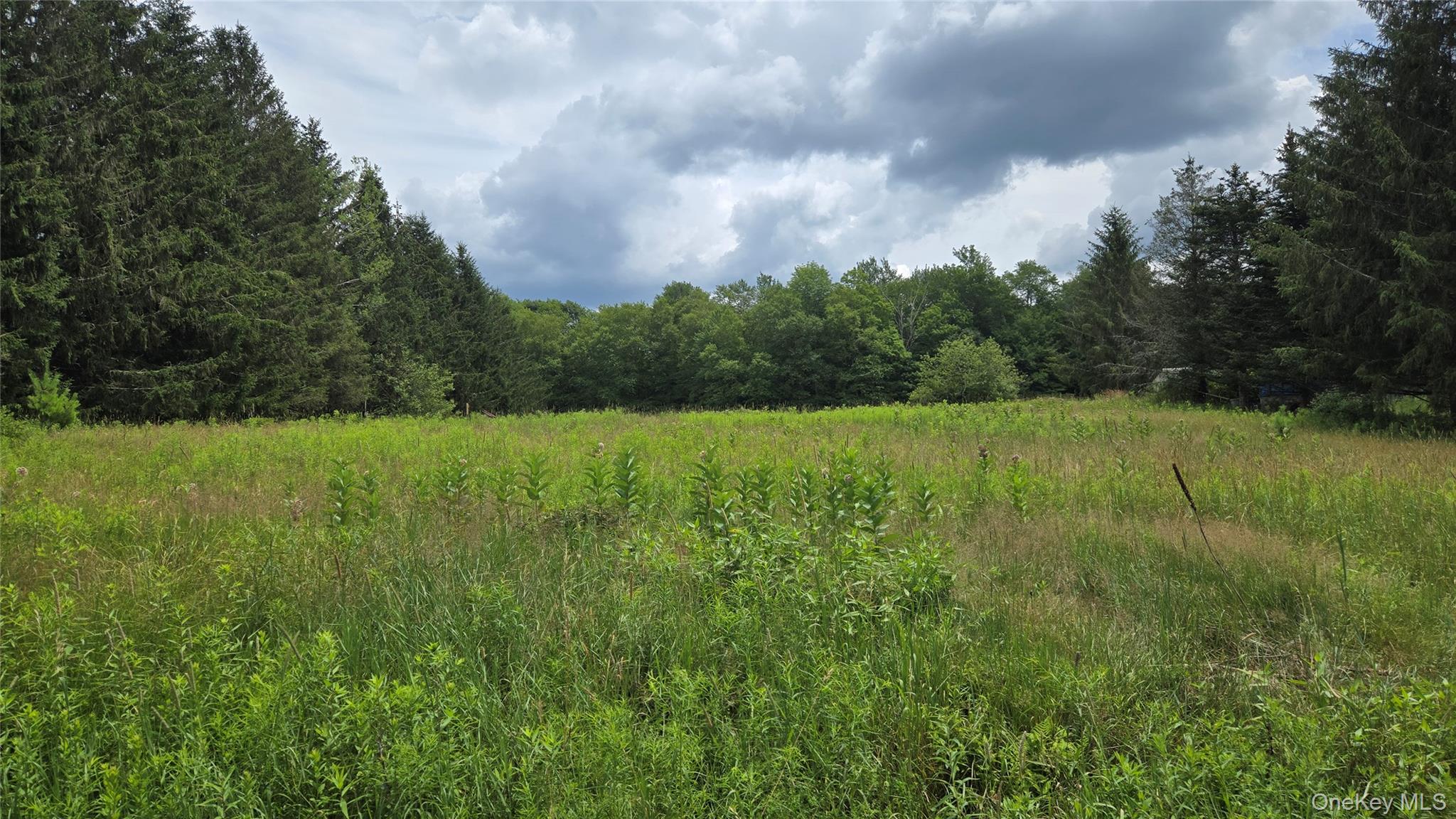 Old White Lake Turnpike, Bethel, NY 12720