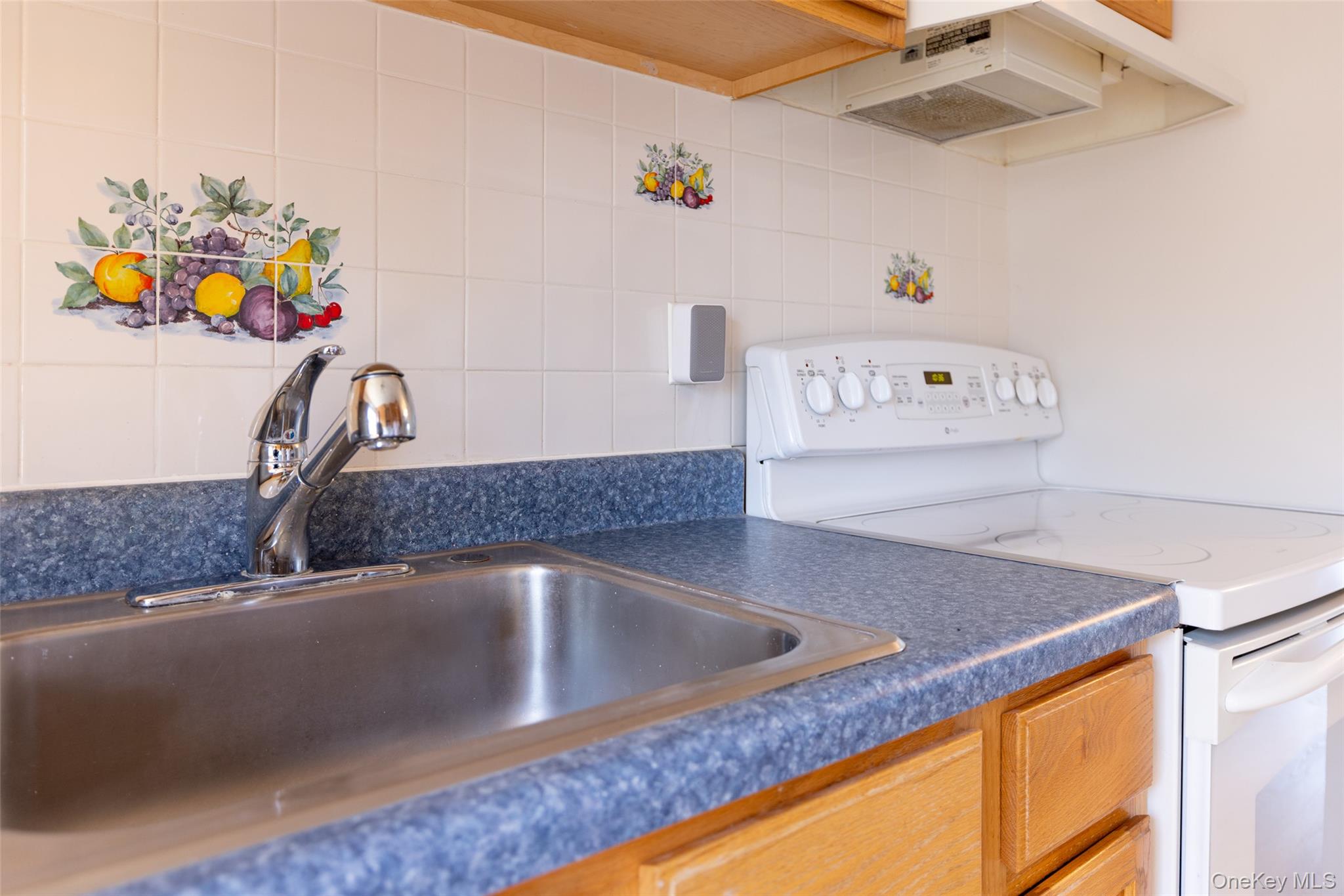 31 Brewster Woods Drive, Brewster, NY 10509