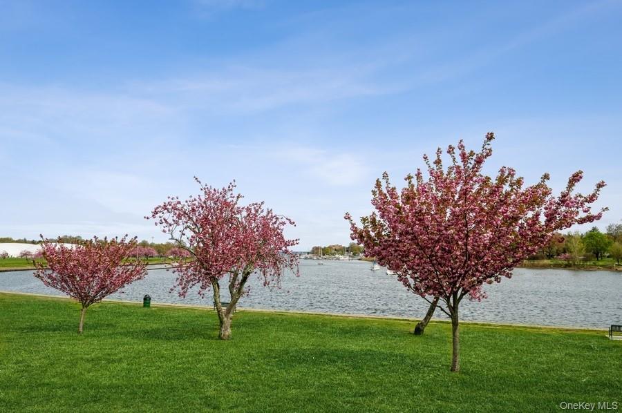 1015 Old Post Road # 3N, Mamaroneck, NY 10543