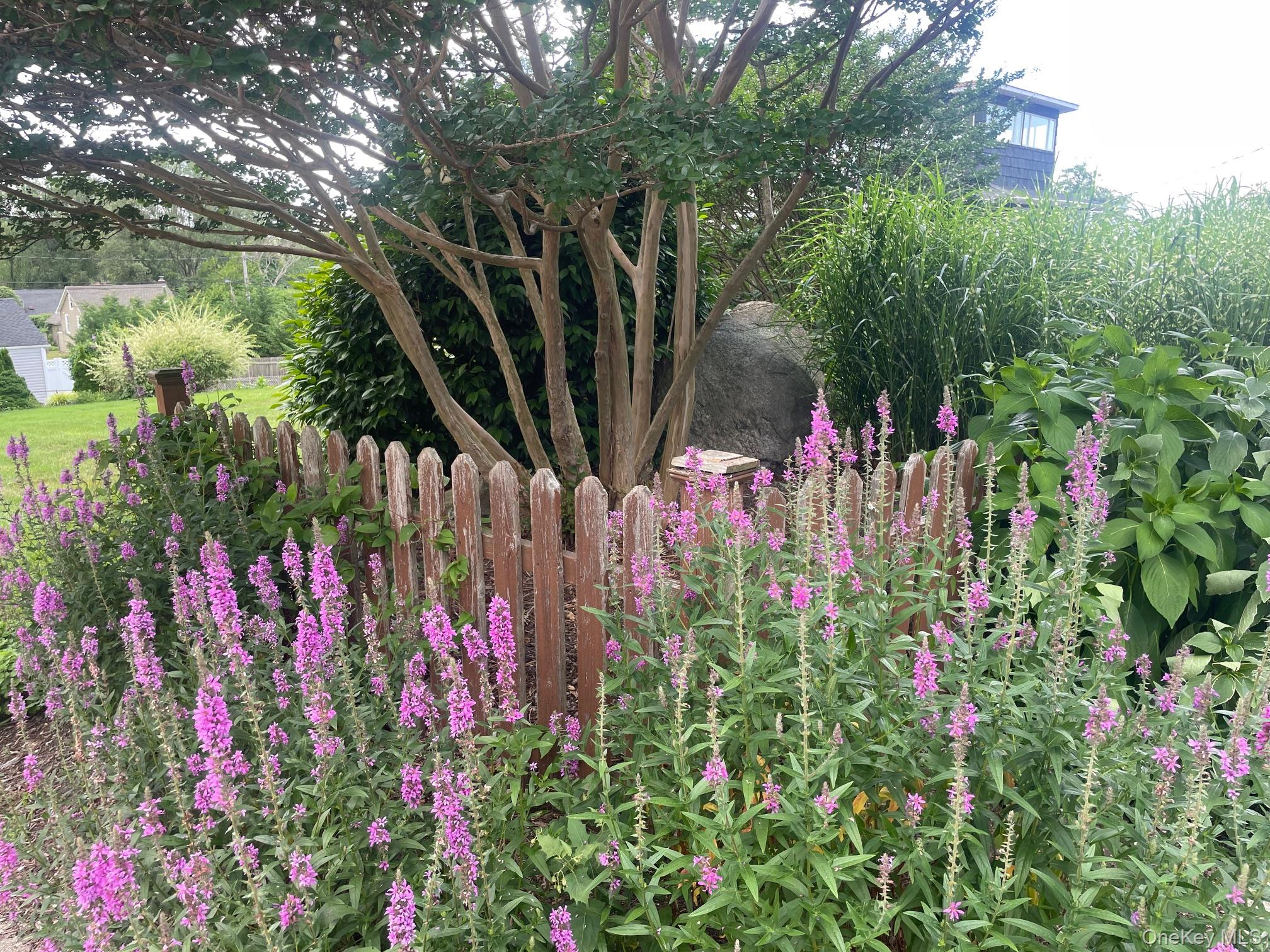 Beaver Drive, Kings Park, NY 11754