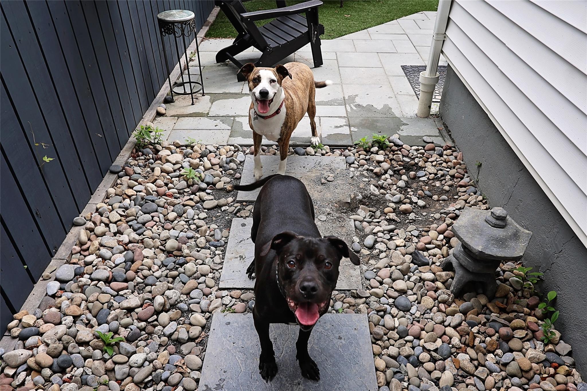 8 Dumond Place, Glen Head, NY 11545