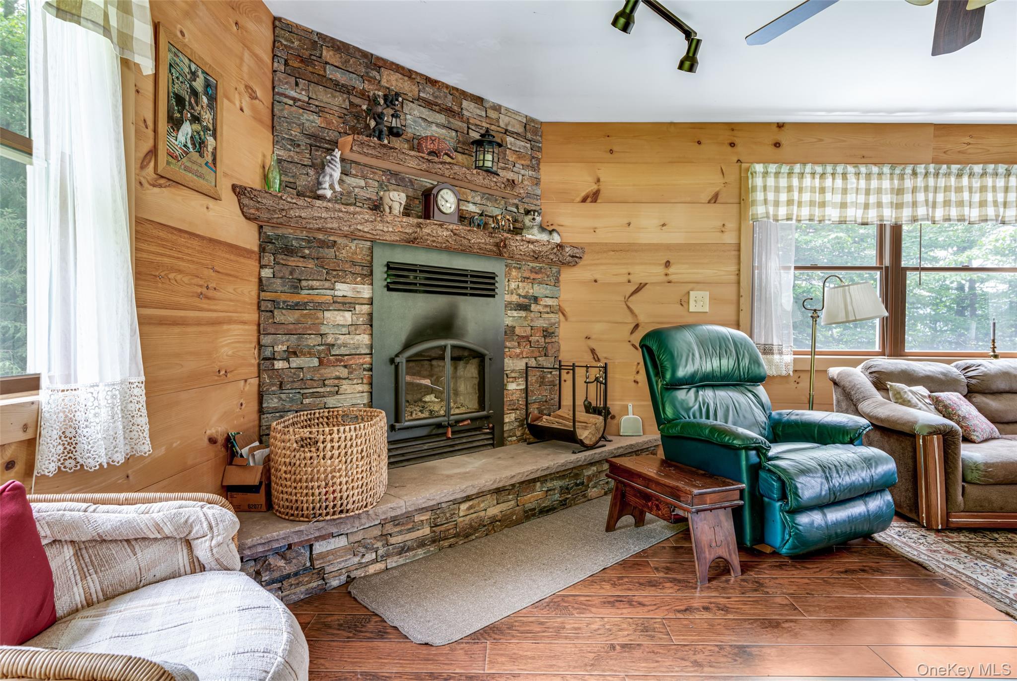 278 Route 13, Prattsville, NY 12468