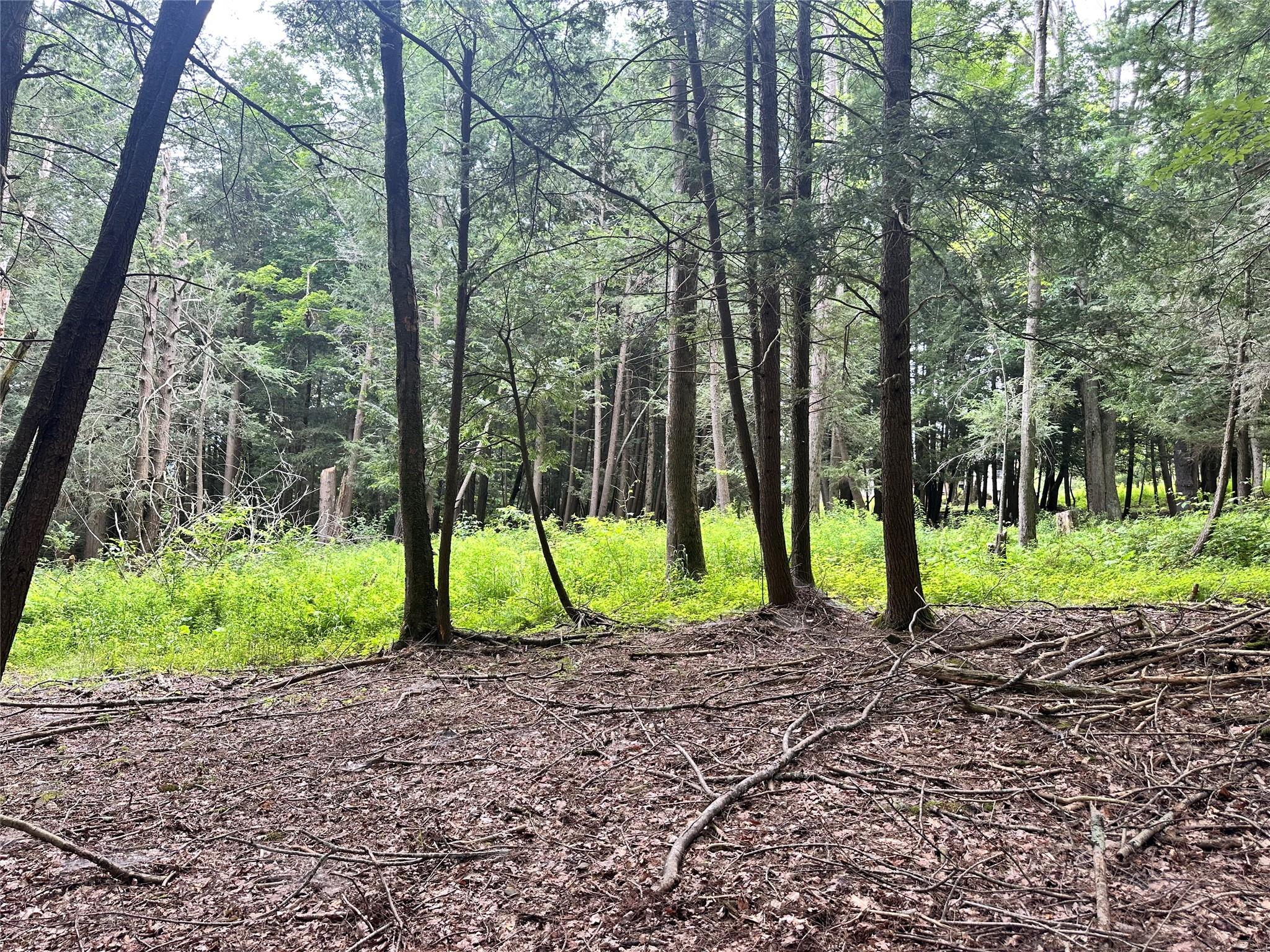 278 Route 13, Prattsville, NY 12468