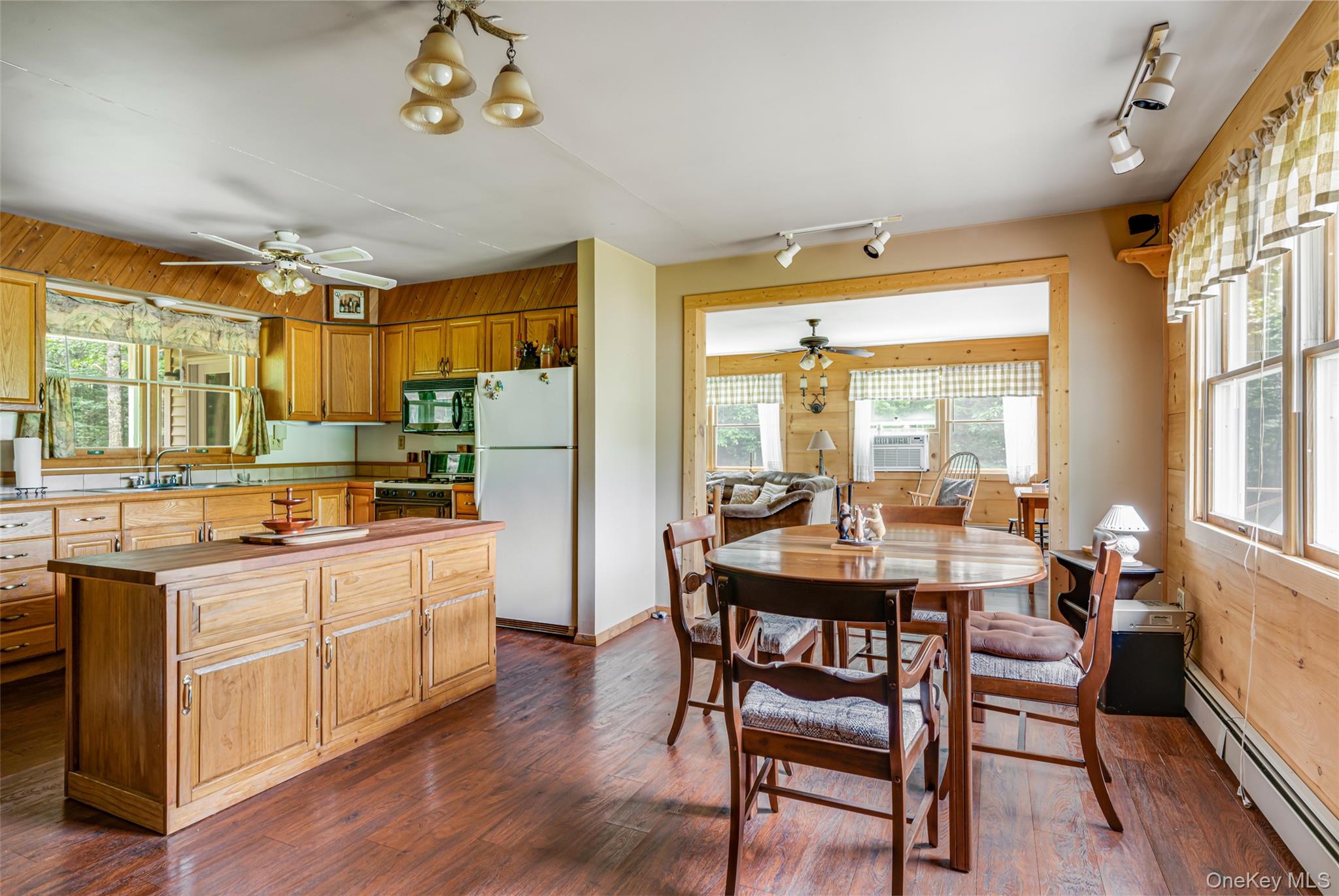 278 Route 13, Prattsville, NY 12468