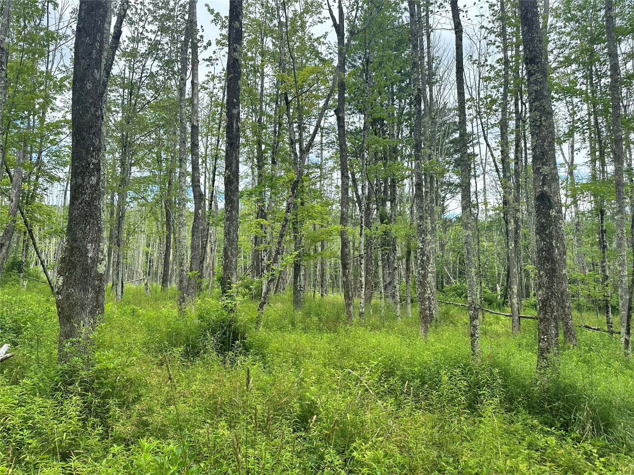 278 Route 13, Prattsville, NY 12468