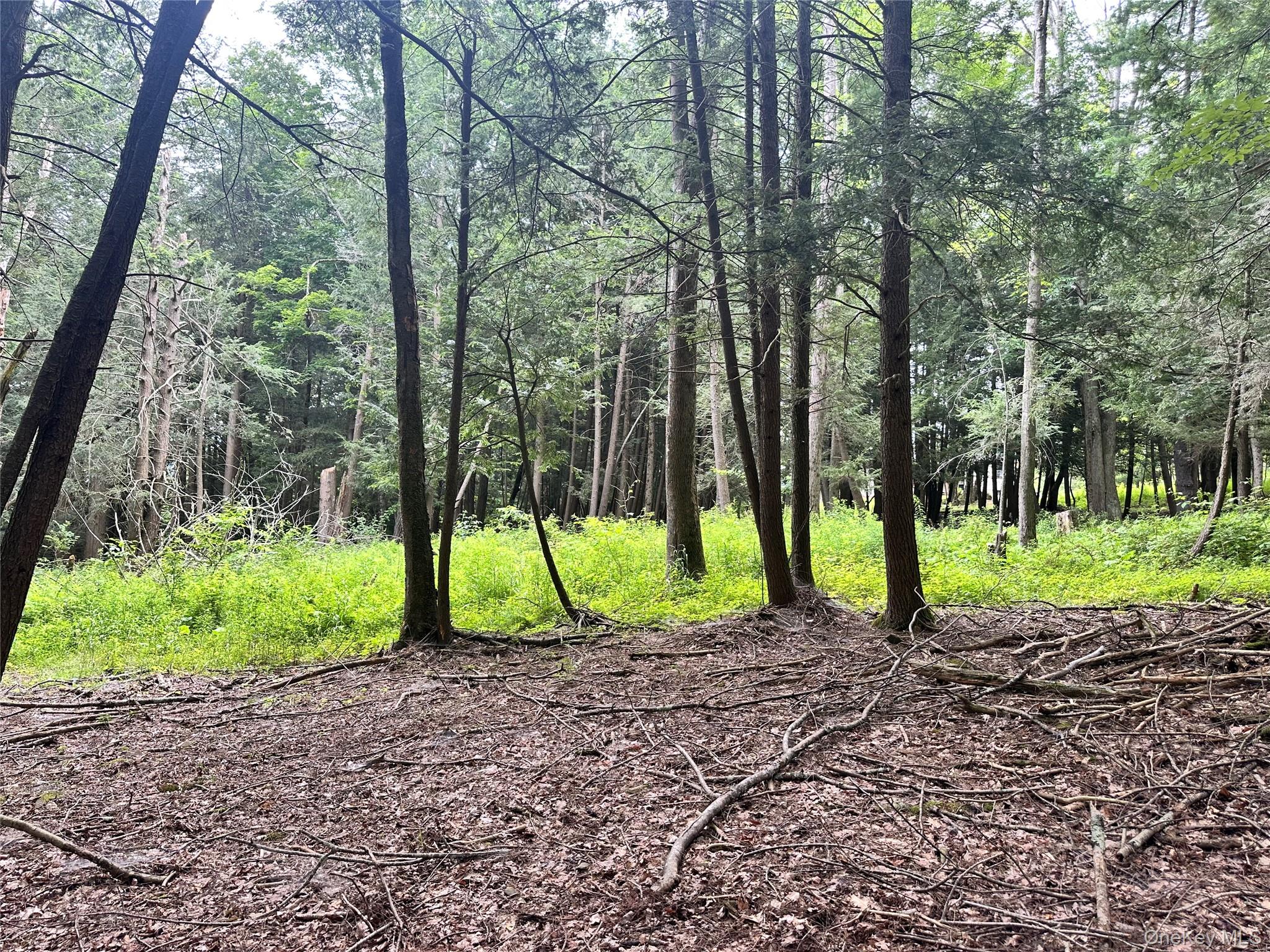 278 Route 13, Prattsville, NY 12468