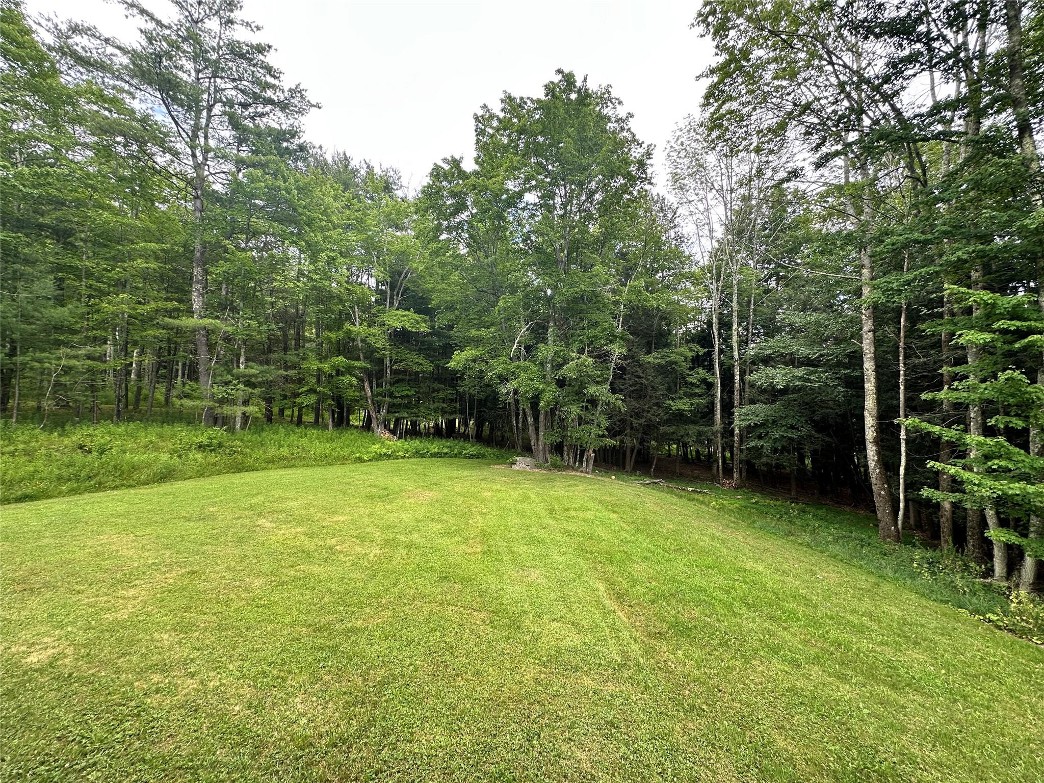 278 Route 13, Prattsville, NY 12468