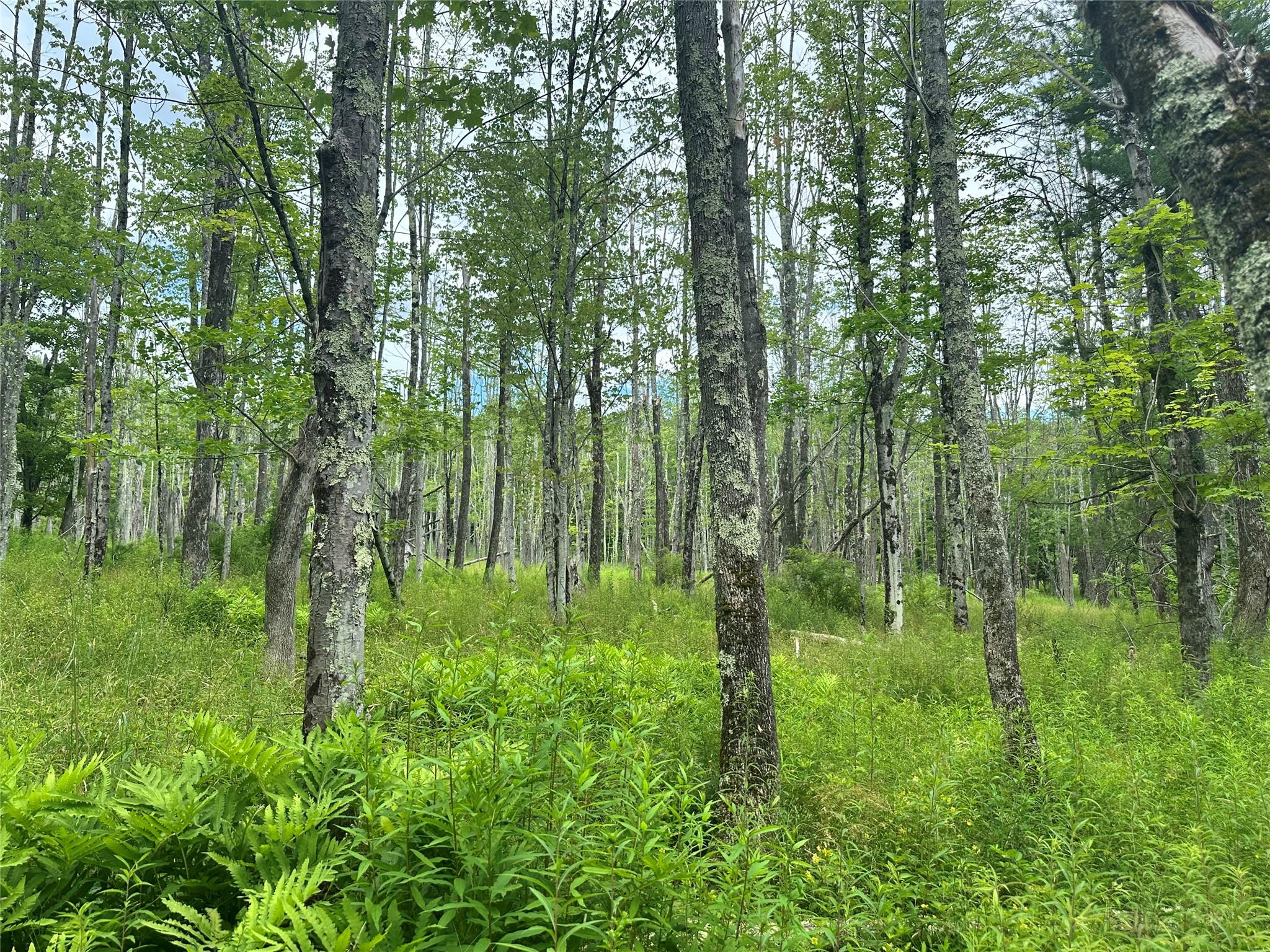 278 Route 13, Prattsville, NY 12468