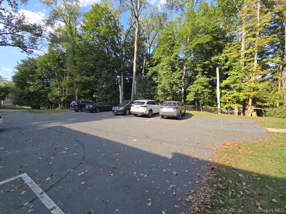 42 Burlison Avenue, Ellenville, NY 12428