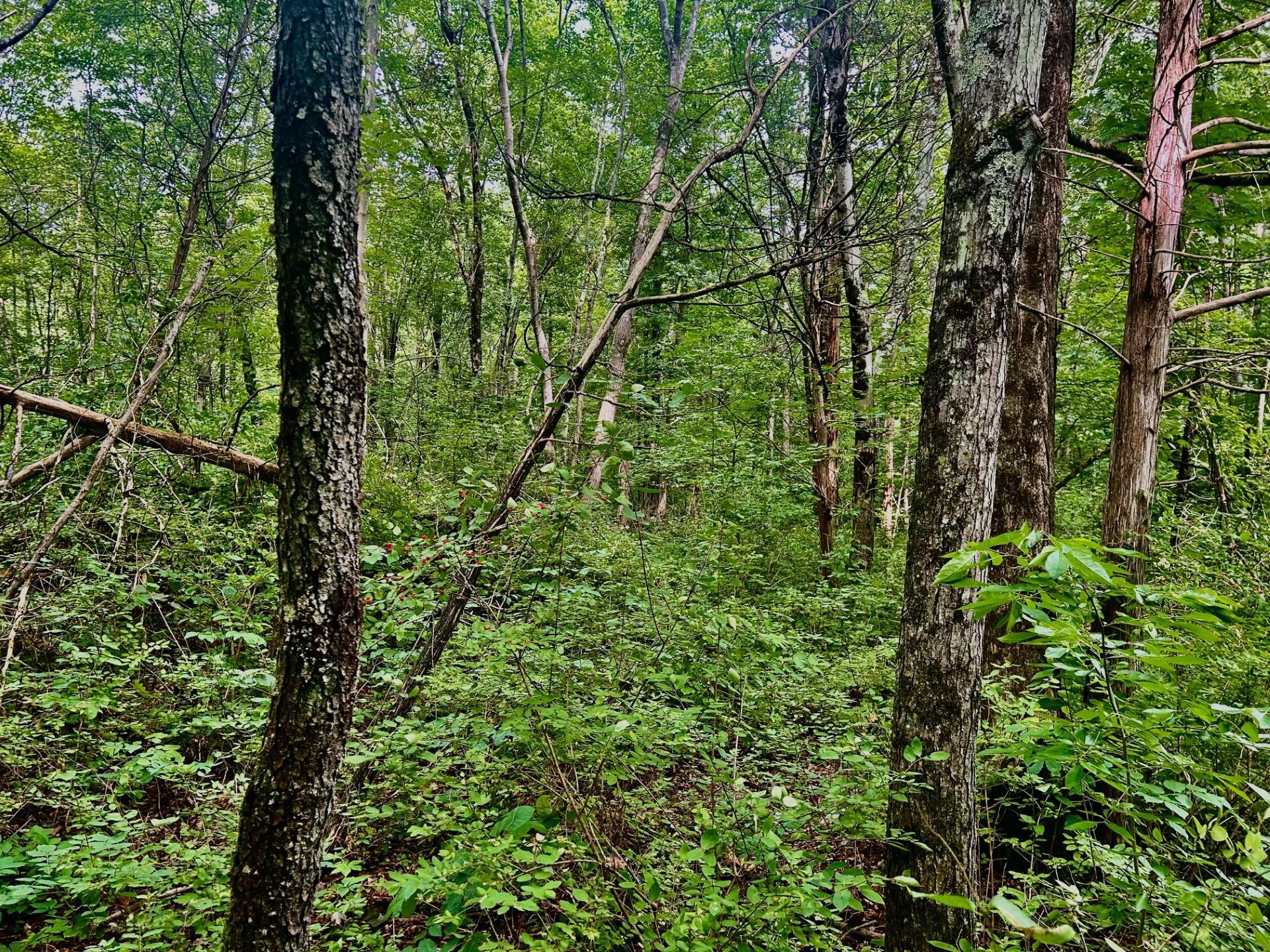 980 N Quaker Lane, Hyde Park, NY 12580