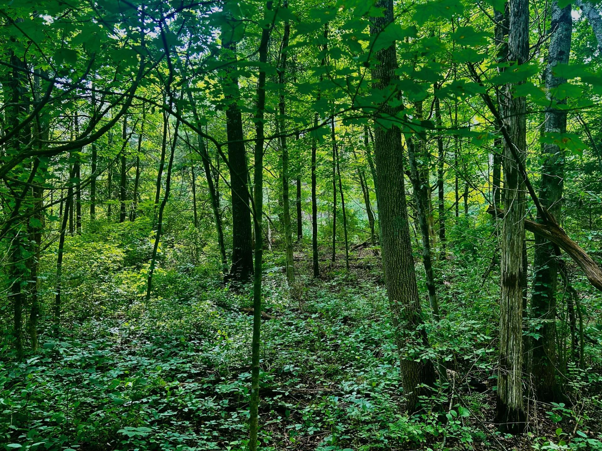 980 N Quaker Lane, Hyde Park, NY 12580