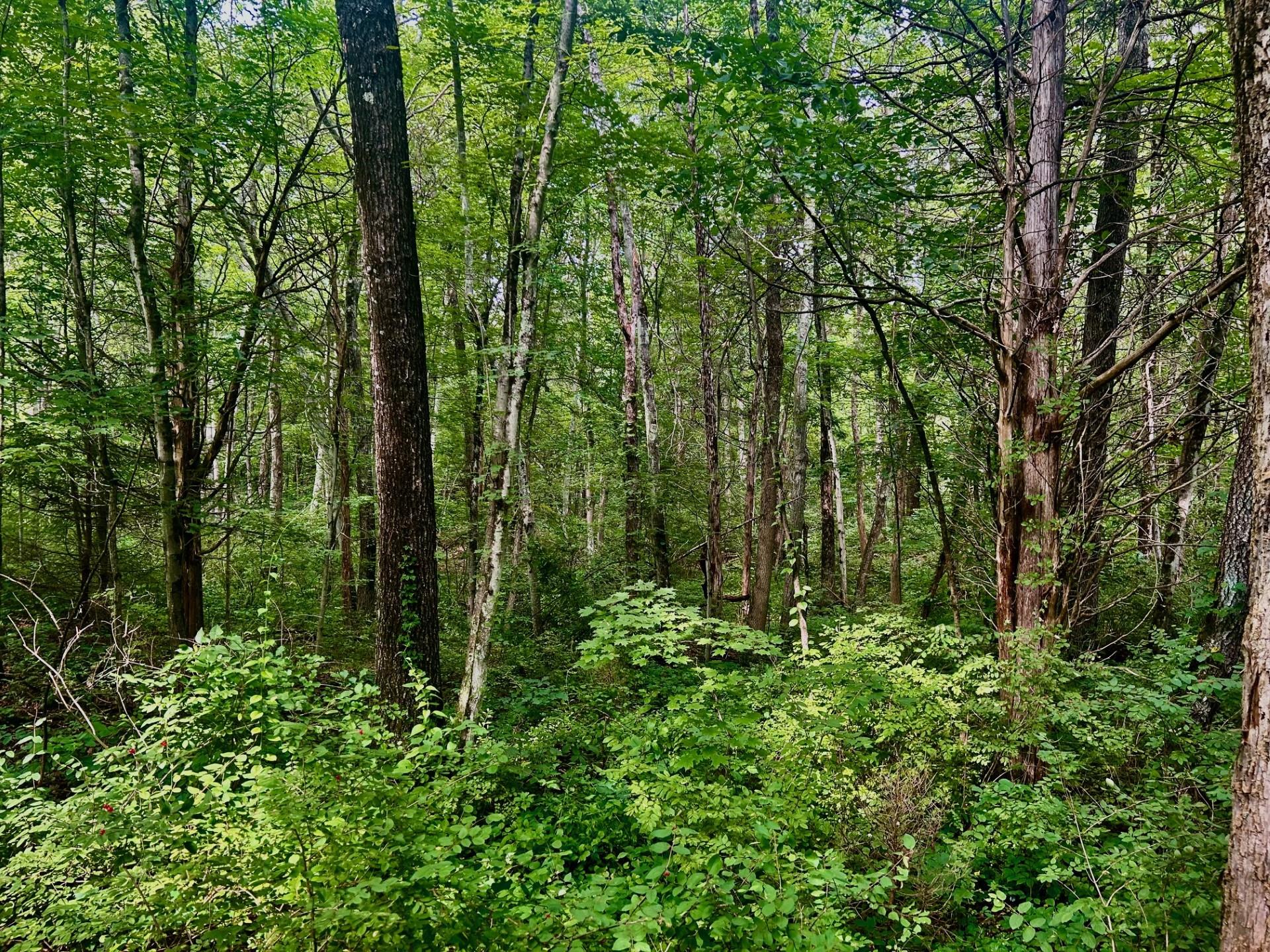 980 N Quaker Lane, Hyde Park, NY 12580