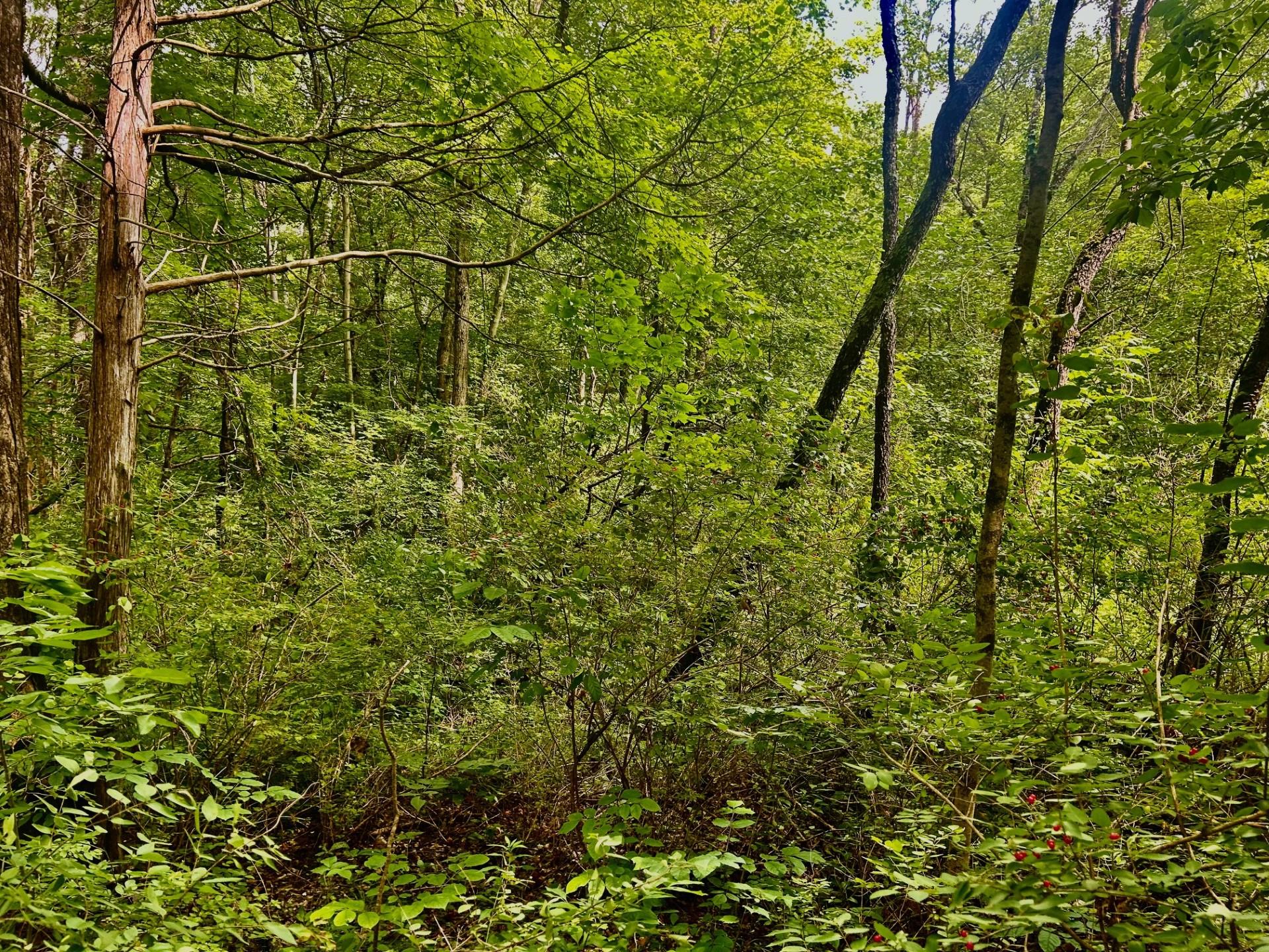 980 N Quaker Lane, Hyde Park, NY 12580