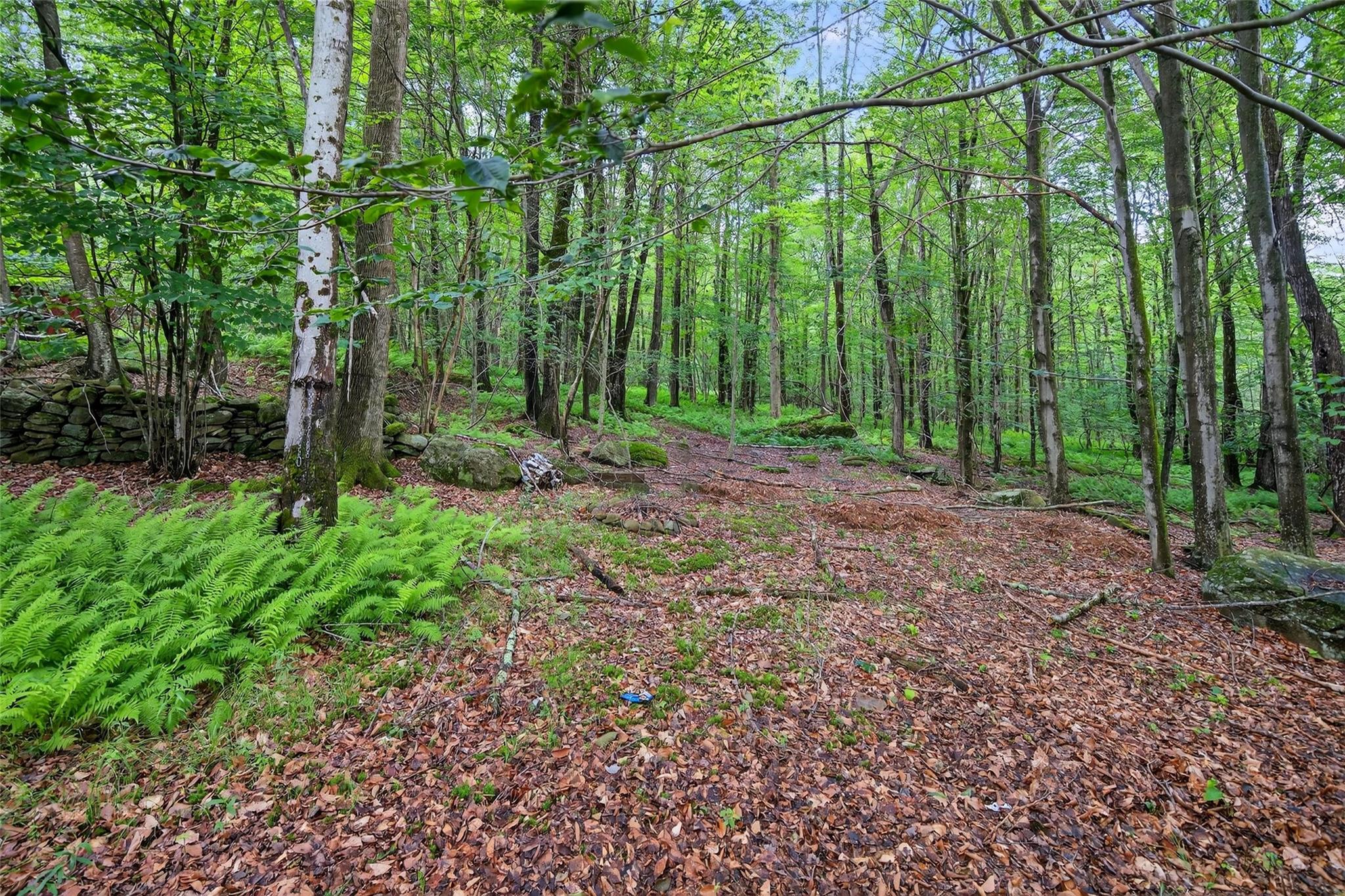 65 Timber Hill Lane, South Fallsburg, NY 12779